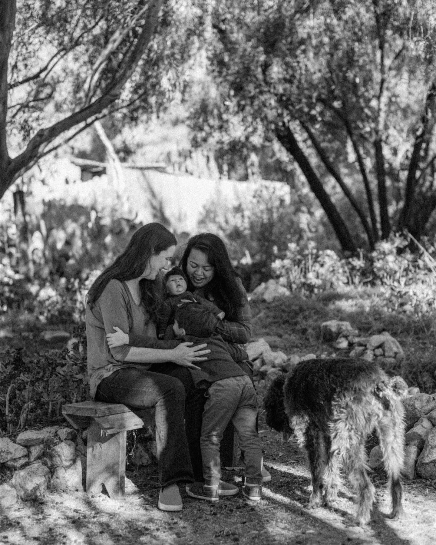 What makes a perfect family session?

Your family!

In all seriousness, I love all kinds of sessions but the ones where you get to be your true selves in an environment that feels comfortable (like your backyard, for example), usually feel just so in