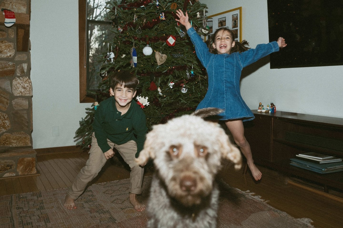 Merry Christmas ya filthy animals! 🎄