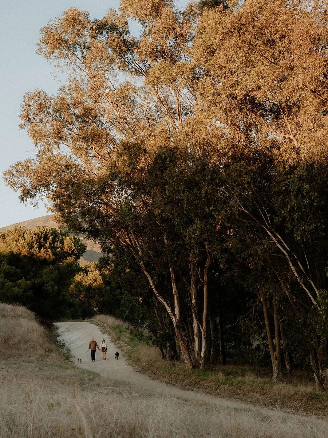 Took a little break from social media posting the past month to reset for this new year. I have some complicated feelings about coming back online at this moment, with everything currently going on, but maybe posting will help the algorithm show not 