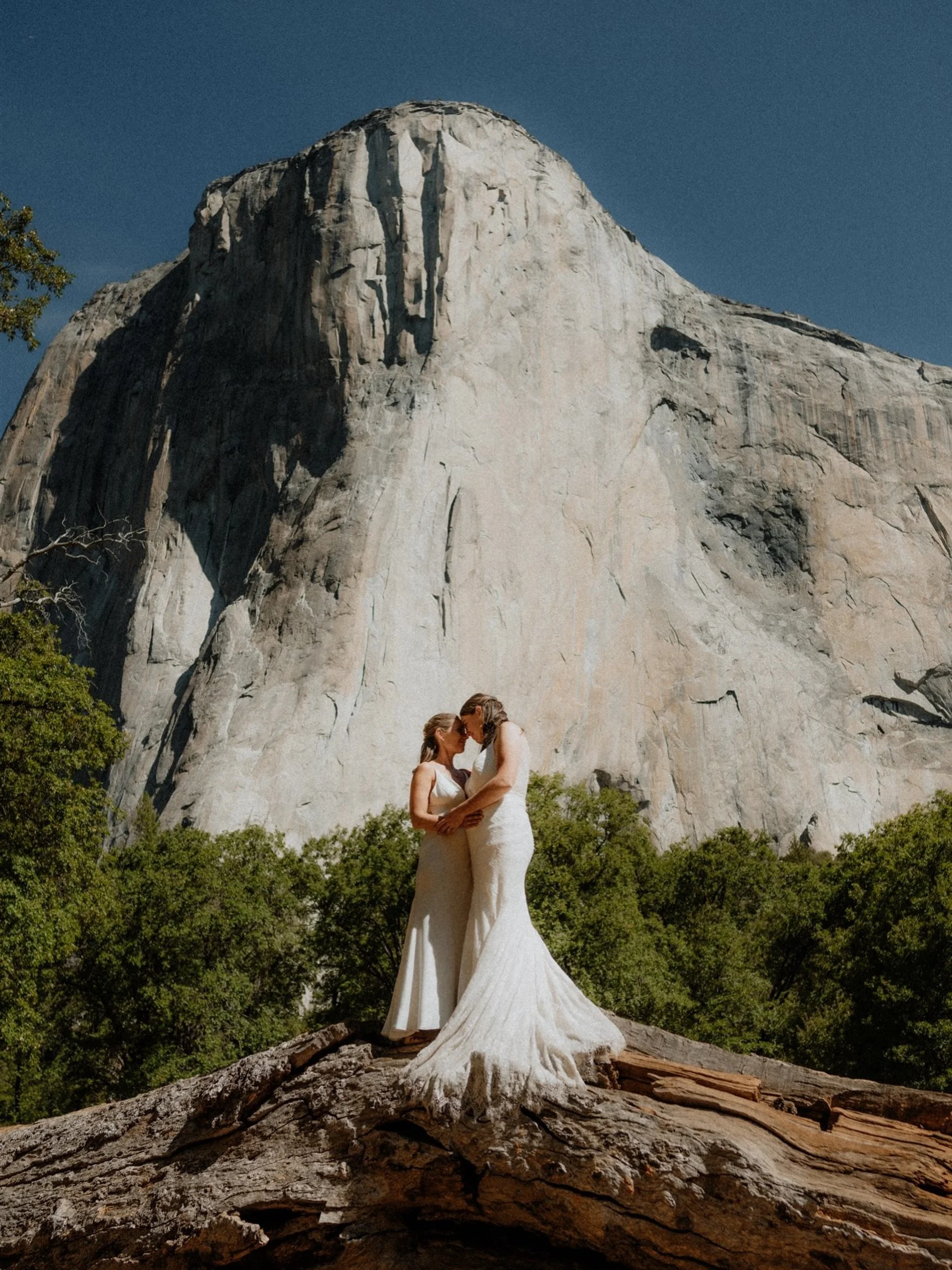 Heading to Yosemite today so it felt appropriate to finally post something new after a long hiatus. 

Looking forward to spending some time with Half Dome, El Cap, and the Merced this week and capturing some beautiful new memories for a special coupl