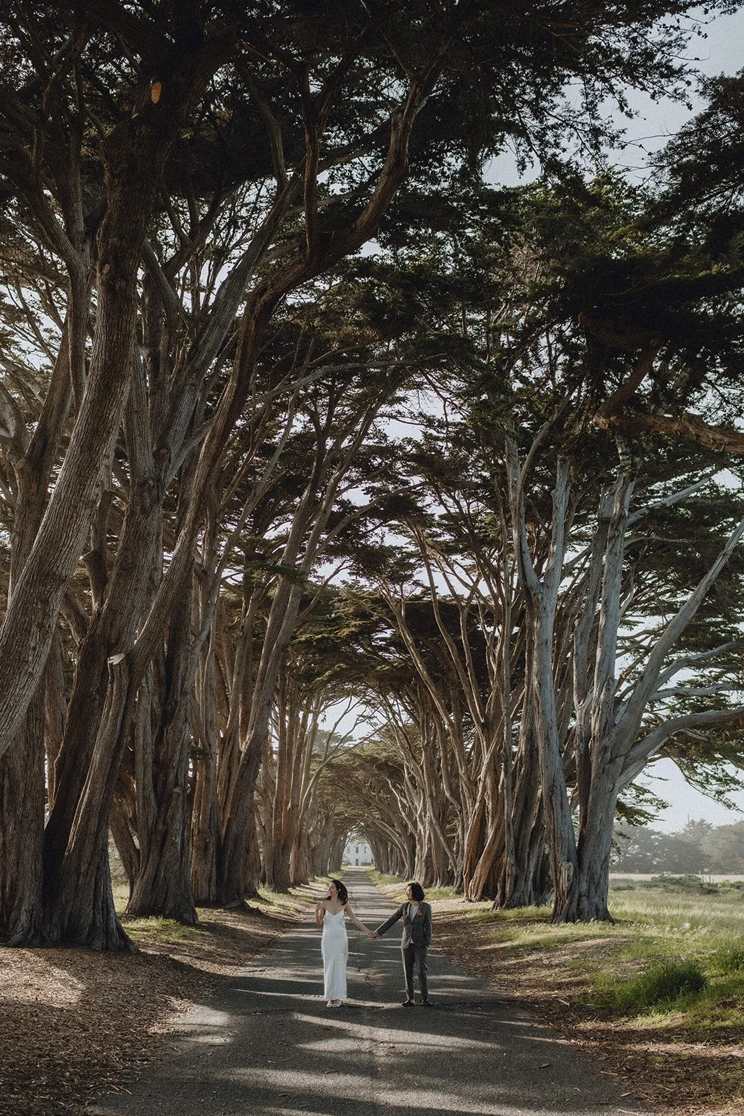 Couple walking through Point Reyes Cypress Tunnel while holding hands