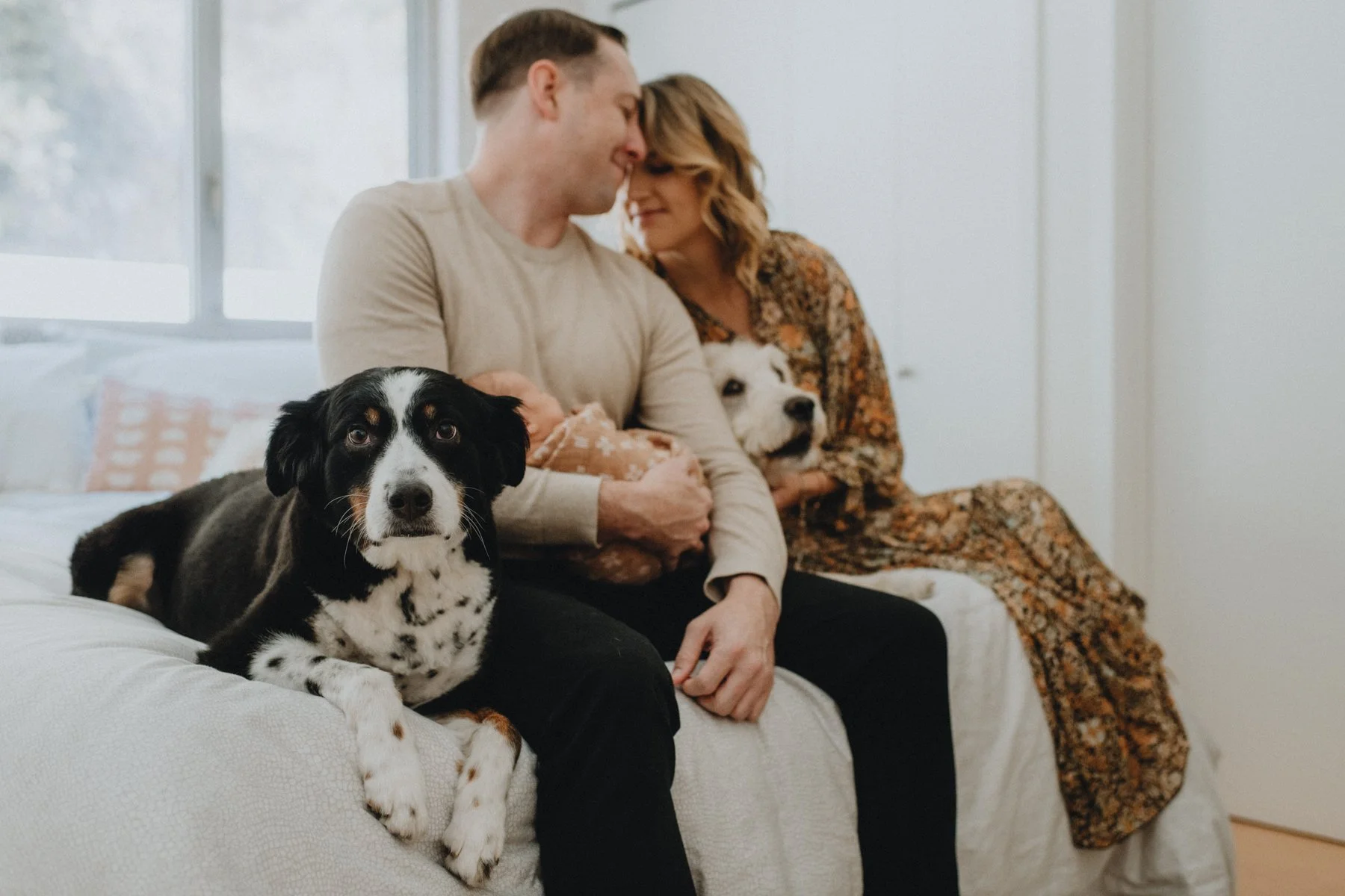 Pasadena Newborn Photoshoot