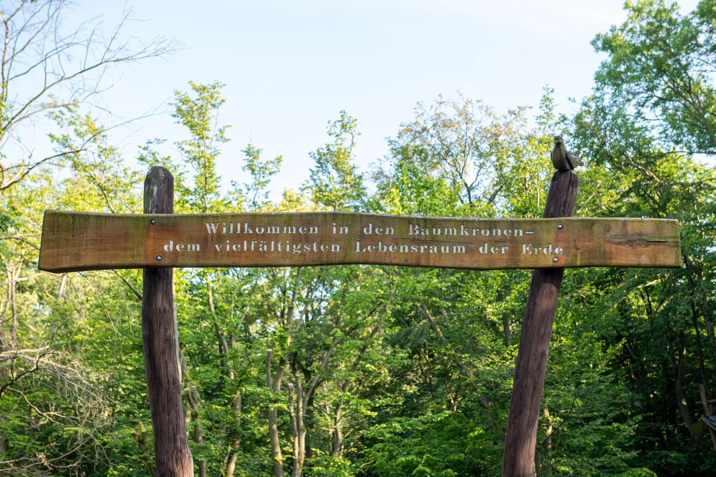 360 WALD