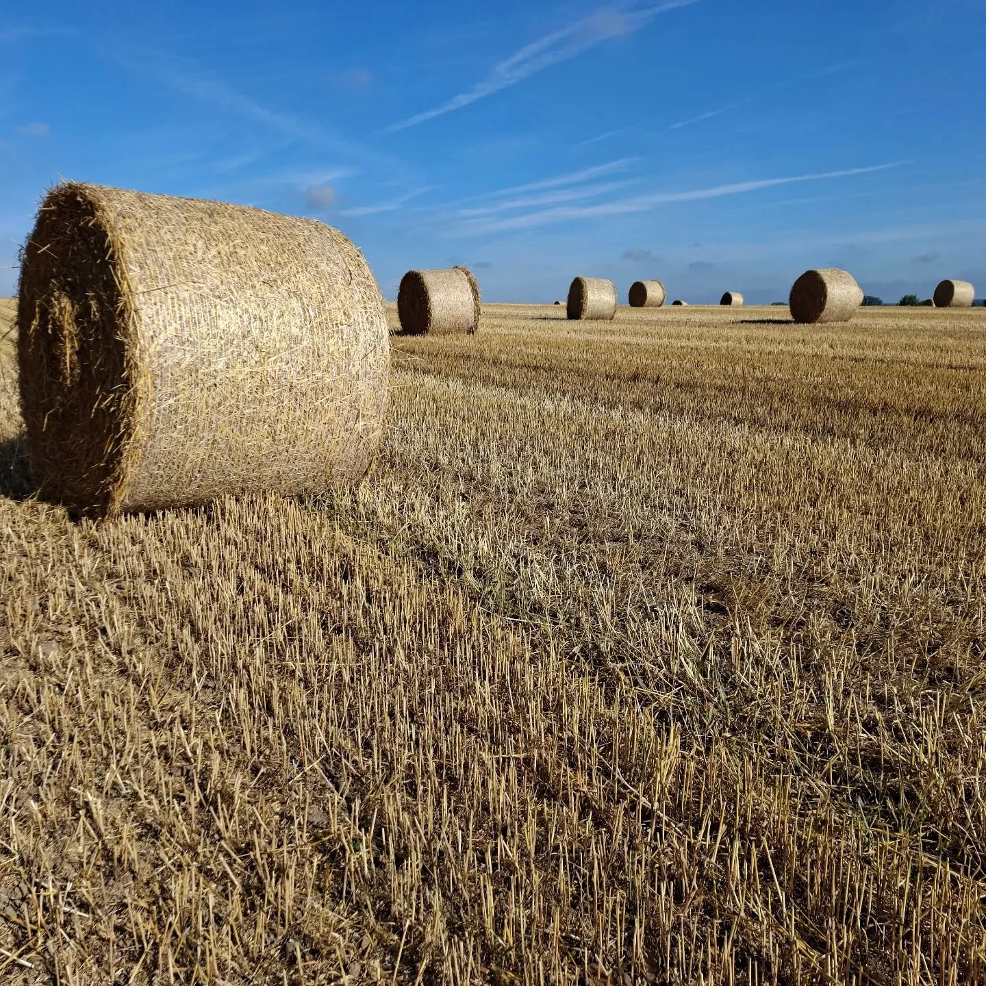 Nog iets over die fields of gold...
Beeld je in dat jouw 'goudklompjes' op meerdere plekken liggen, weet je dan waar je moet zoeken en hoe je ze best kan verzamelen?
Met andere woorden, hoe combineer je de dingen die je leuk vindt?

#loopbaanbegeleid