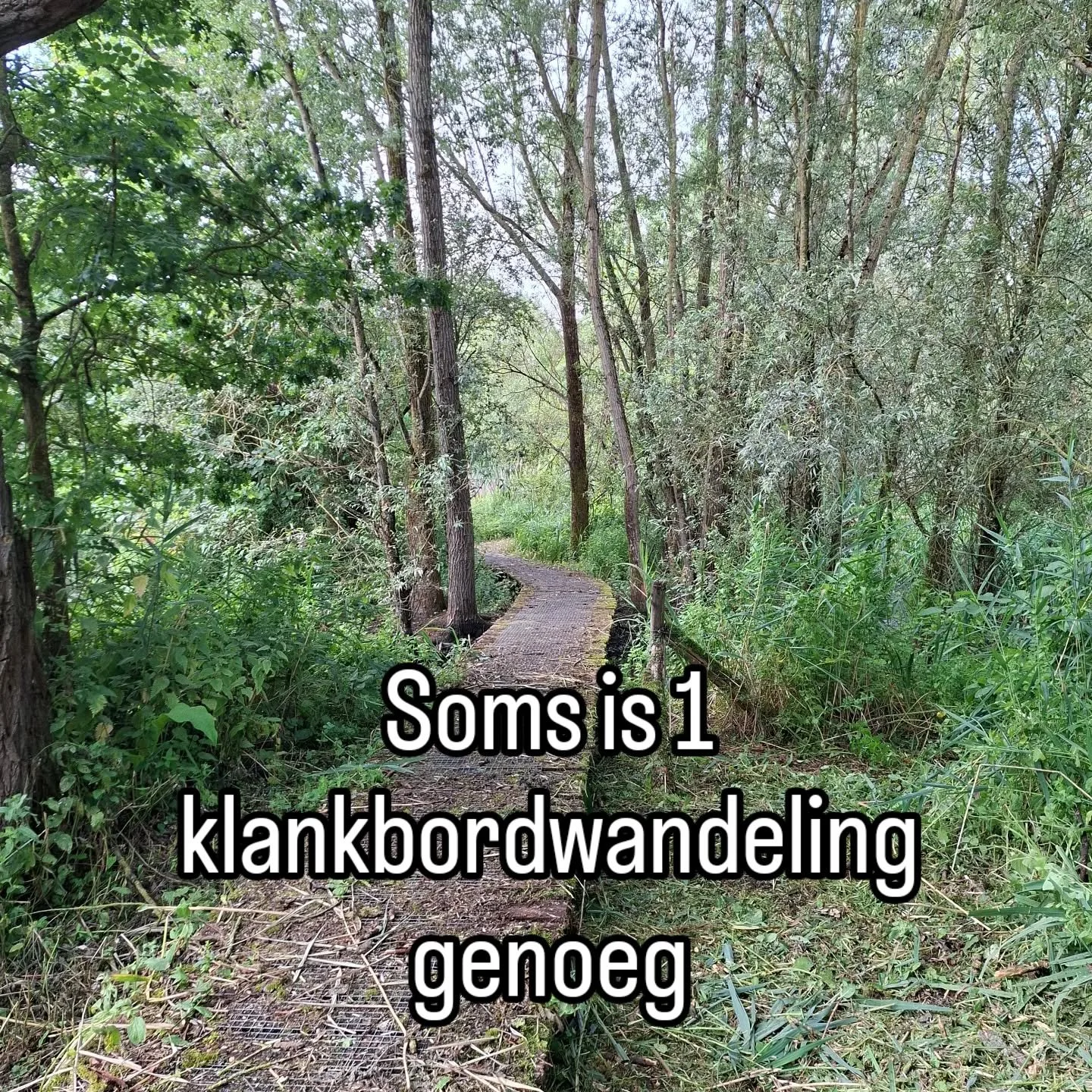 Zo dankbaar voor elke keer dat iemand vertelt hoeveel deugd en inzicht een klankbordwandeling met zich meebrengt.🙏
Vandaag iemand die opnieuw op stap wilde nadat ze 7 jaar geleden al loopbaanbegeleiding bij mij gevolgd had.
2u later vertrok ze met e