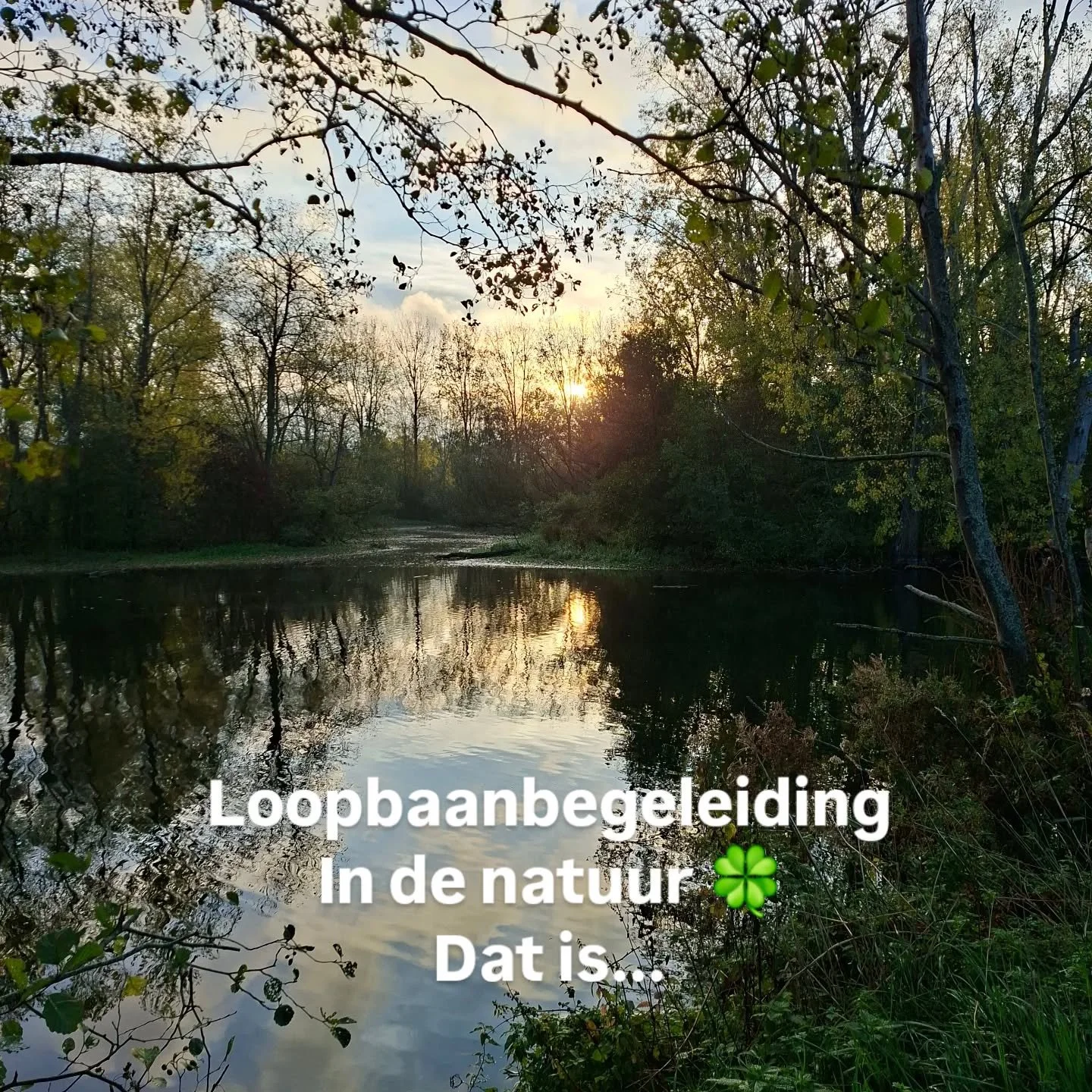 Coaching in de natuur is niet alleen boeiend, maar je komt ook op de mooiste plekken!
Van je hoofd naar je lijf, stap voor stap 👣 krijg je inzicht in de weg die je volgt, of een nieuwe weg die je wilt inslaan 🗺

www.trotterinzicht.be 
#Loopbaanbege