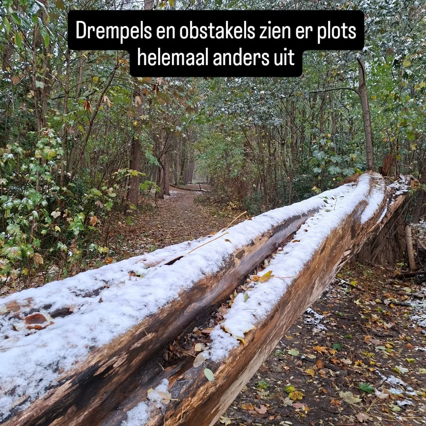 Ook in de winter geef ik loopbaanbegeleiding in de natuur! Zie hoe anders een obstakel er kan uitzien...
Aan jou om er betekenis aan te geven 🍀

Ps hierop volgde ook een warme thee in mijn warme busje om af te ronden🍵

Nieuwsgierig hoe dat gaat?
ww