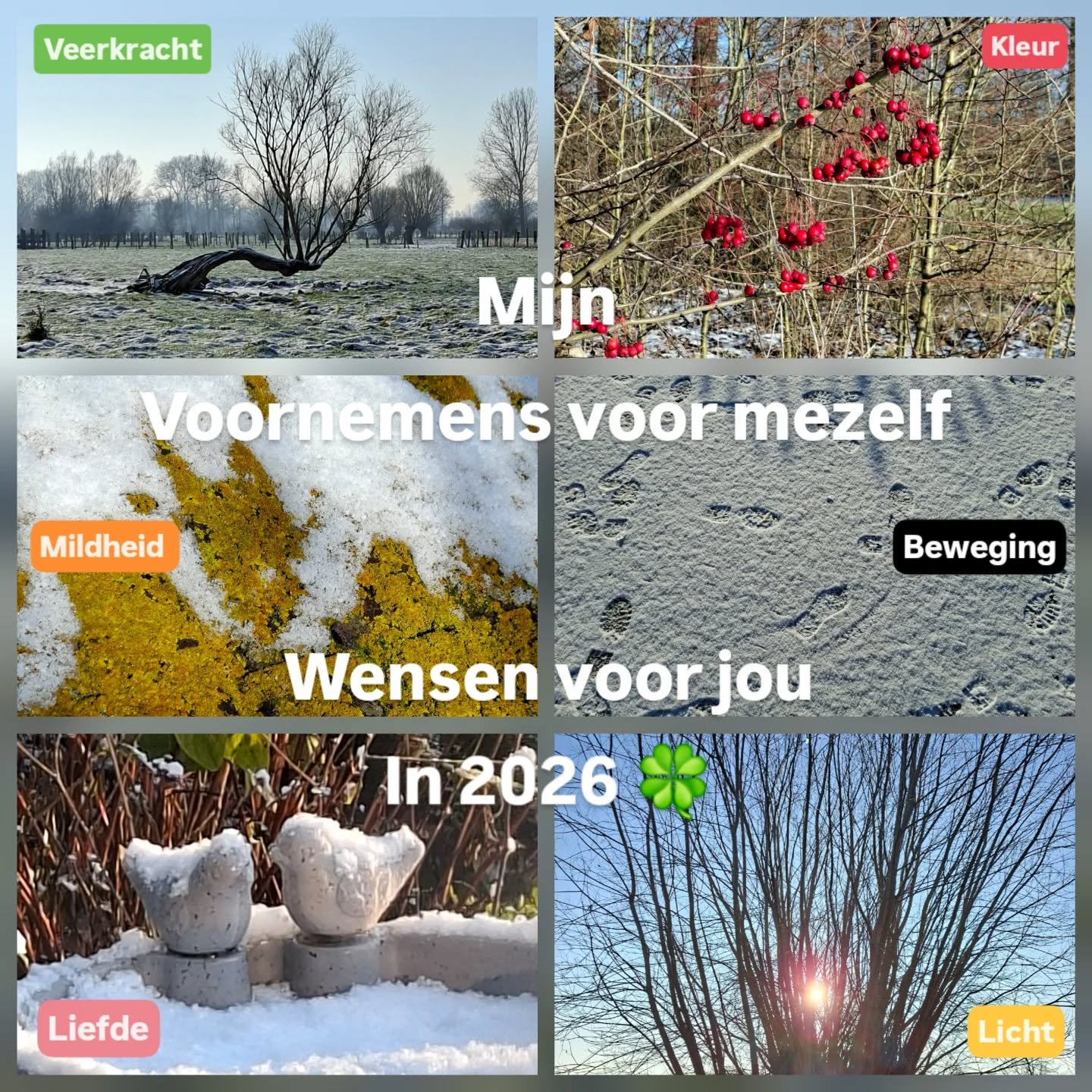 Elk jaar wensen we elkaar alle goeds!
Maar wat wens je jezelf toe?