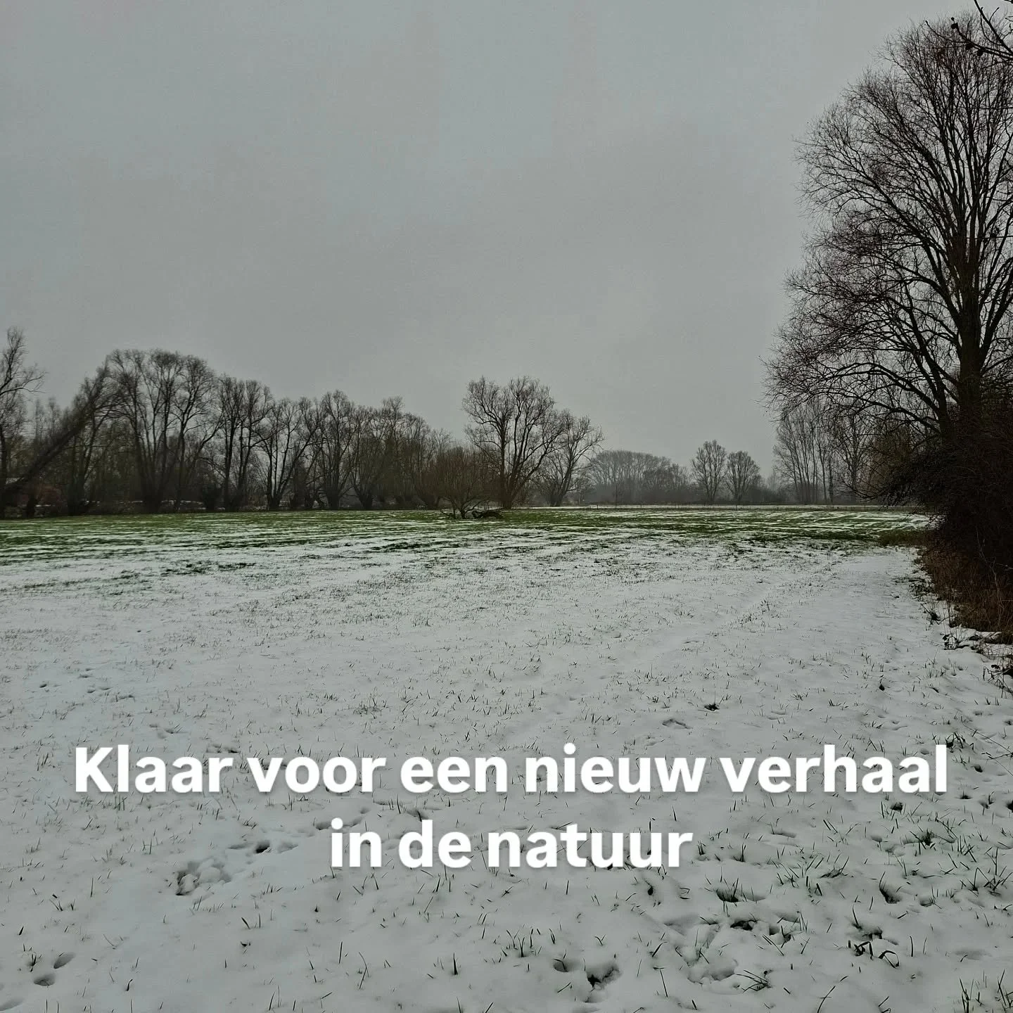 Loopbaanbegeleiding in de natuur, zomer &eacute;n winter!