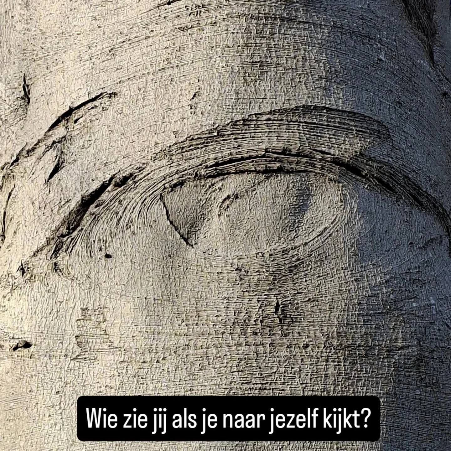 Zie je jezelf &eacute;cht of met een masker?
Zie je je dromen of eerder verwachtingen?
Of iets daartussen?

Daarover gaat loopbaanbegeleiding in de natuur: leren kijken naar wie je &eacute;cht bent, naar je eigen talenten en drijfveren. Niet die van 