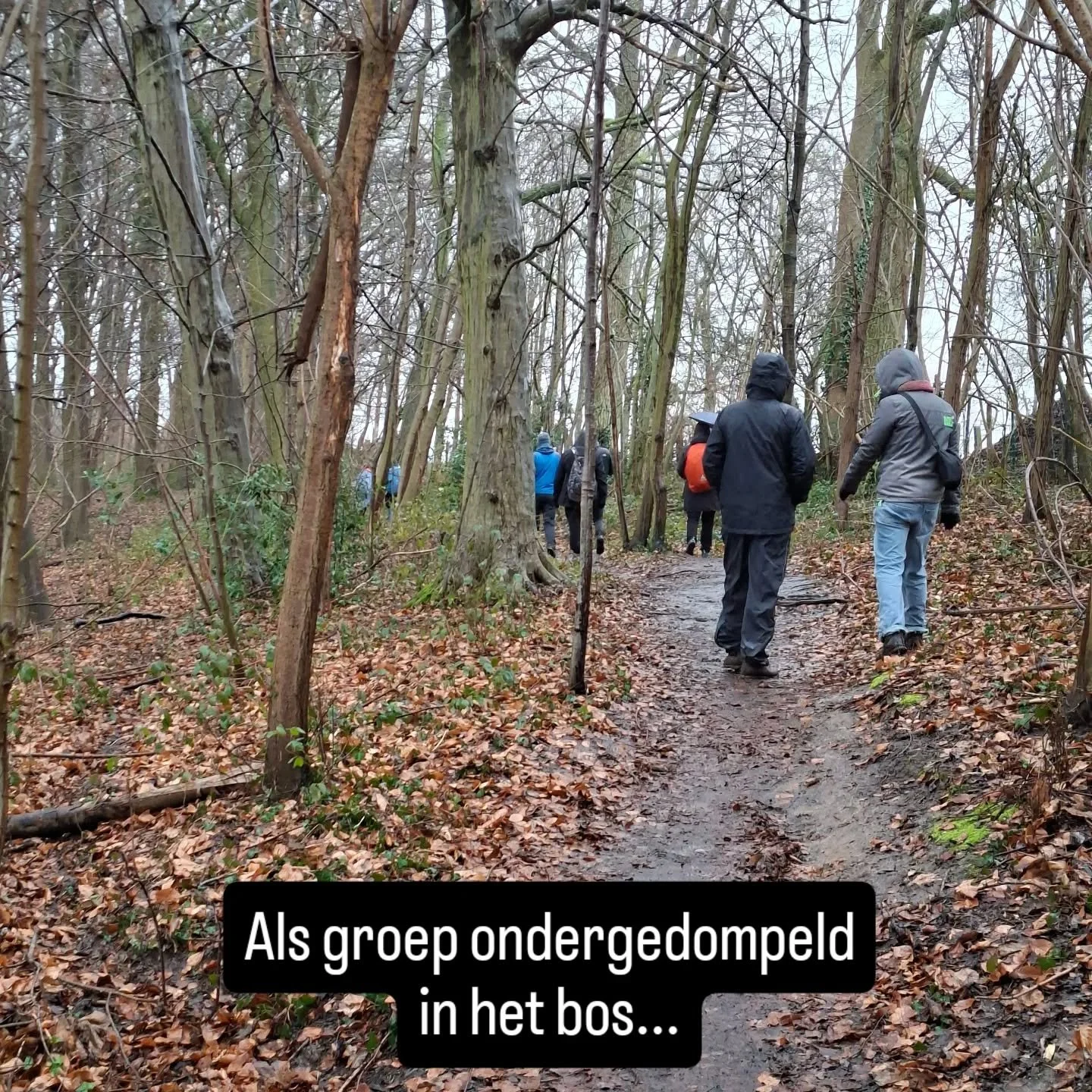 Werken met een team in de natuur, dat betekent ook dat we de natuur-elementen erbij nemen!
Deze groep trok deze week mee het Raspaillebos in, om te werken rond hun waarden en identiteit als team.
Zalig was dat, en nat! Maar vooral super boeiend 🍀

w