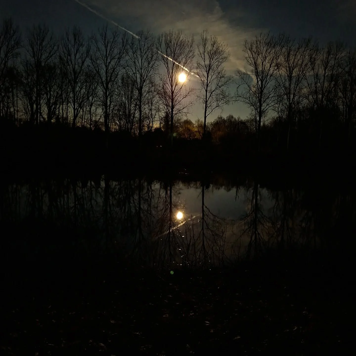 Binnenkort eens op controle voor mijn ogen. Tegenwoordig zie ik alle mooie dingen dubbel 🌙
😍