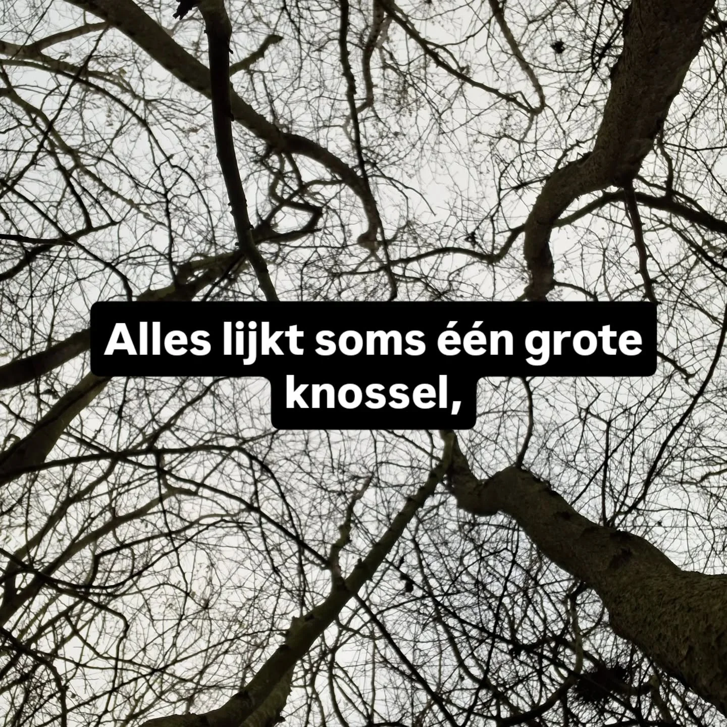 "Ik zit helemaal in de knoop! Ik weet het allemaal niet meer", zei ze vorige week nog.
Intussen komt er meer helderheid, beetje bij beetje, stap voor stap, letterlijk en figuurlijk.  Uit het hoofd, in beweging, in de natuur.

Ik weet waarom
