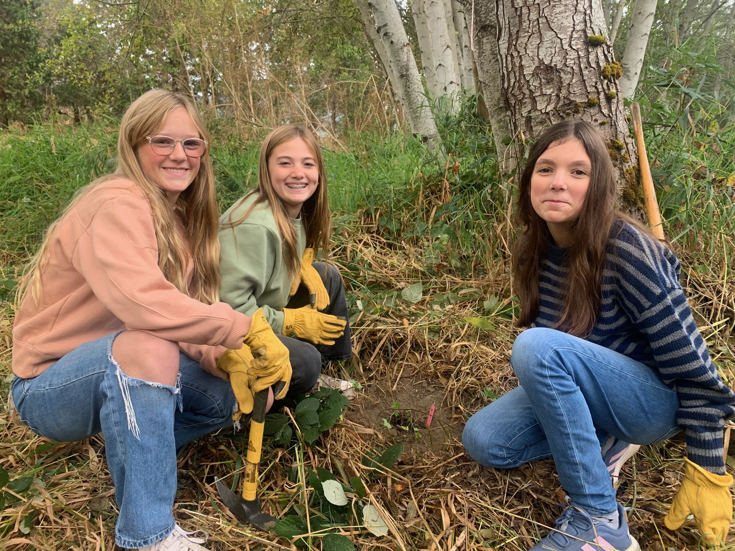 Native Planting at Cantrall Buckley Park