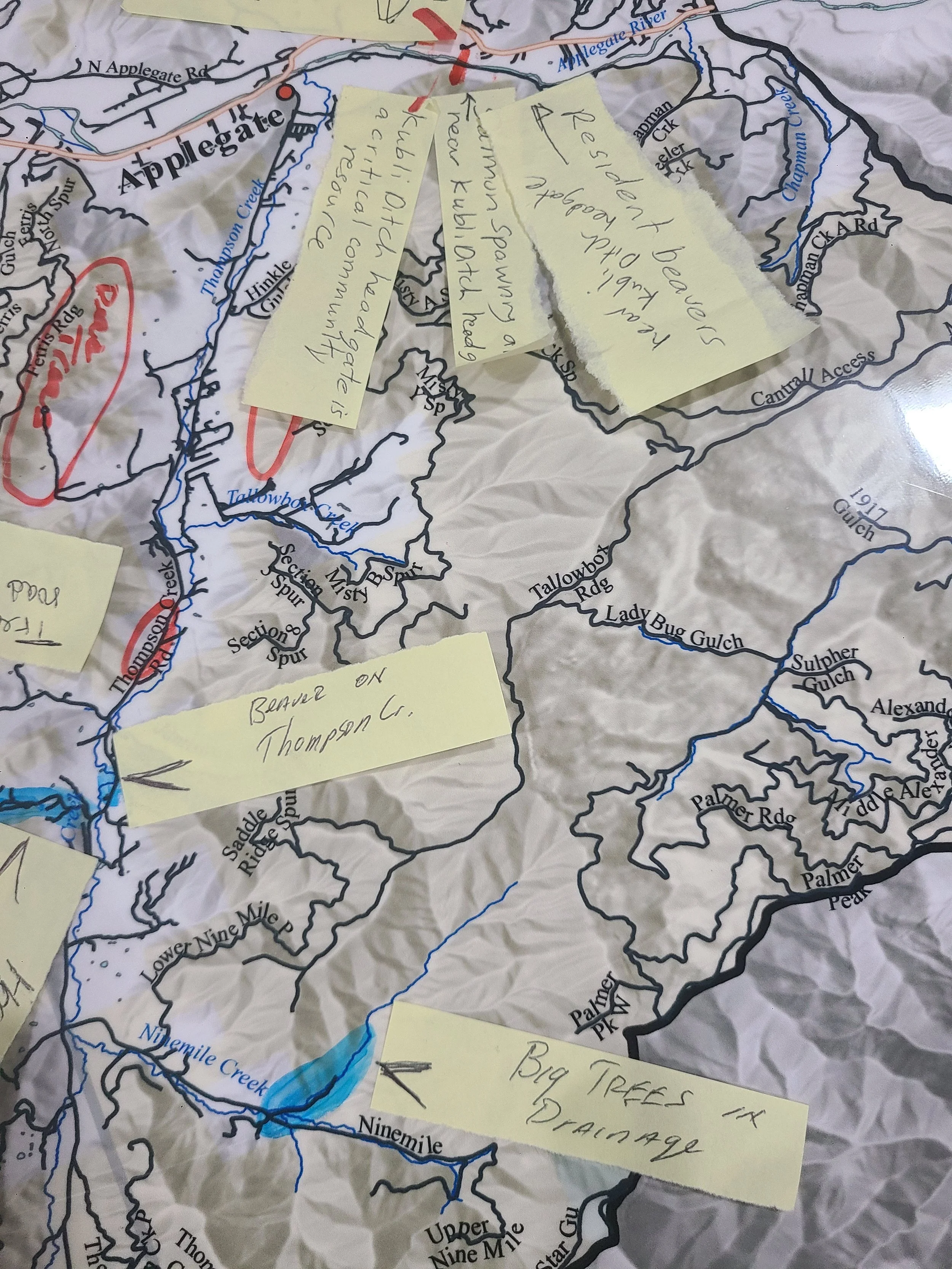 Dispatch from the Drawing Board: Applegate CWPP public meetings prompt doodles and dialogue&nbsp;&nbsp;