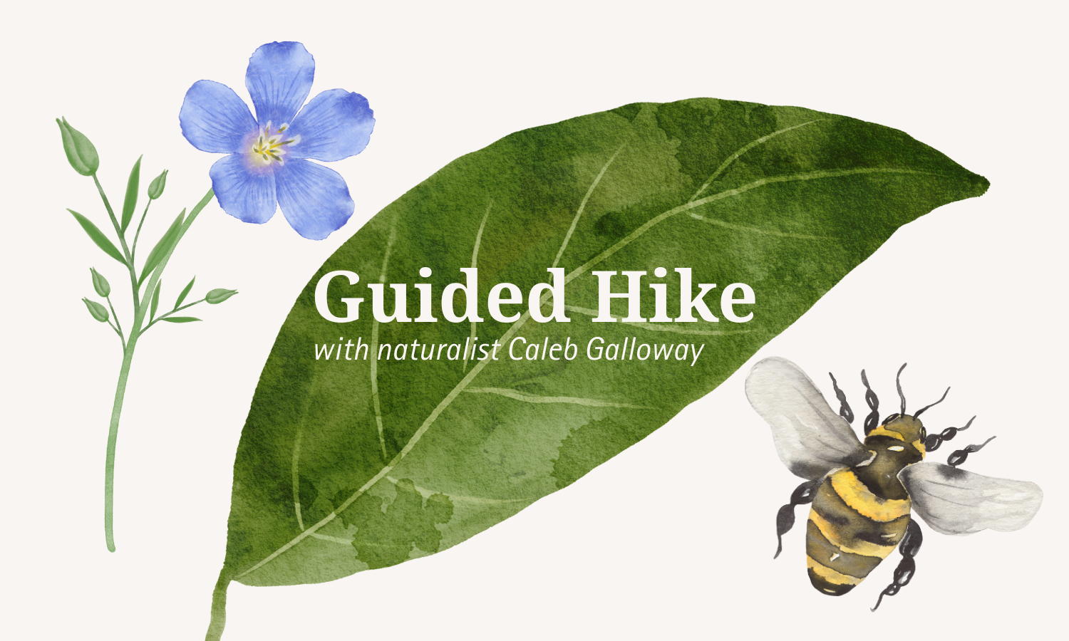 Guided Hike with a Naturalist 