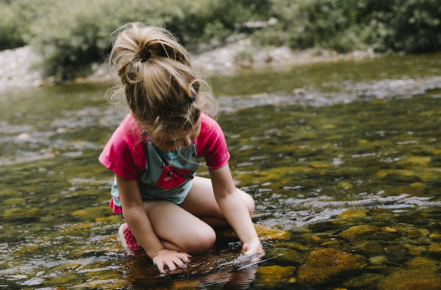 August 3-7: Nature Investigators