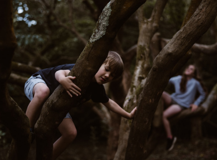 SS Stock Forest Friends.png