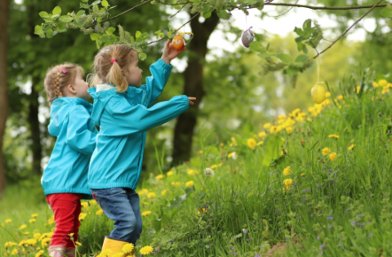 July 20-24: Backyard Biologists