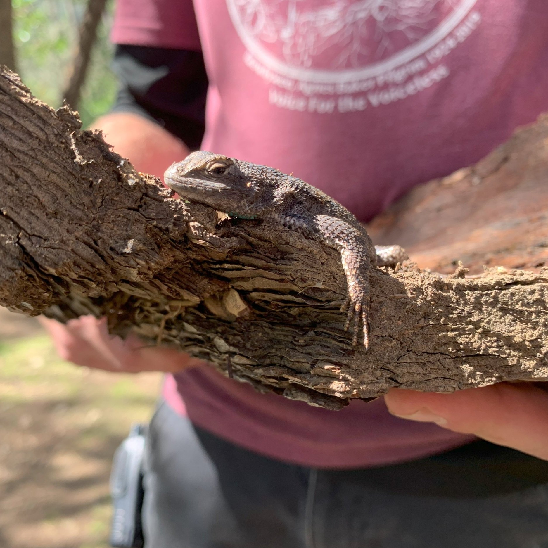 Andy+w+Lizard.jpg
