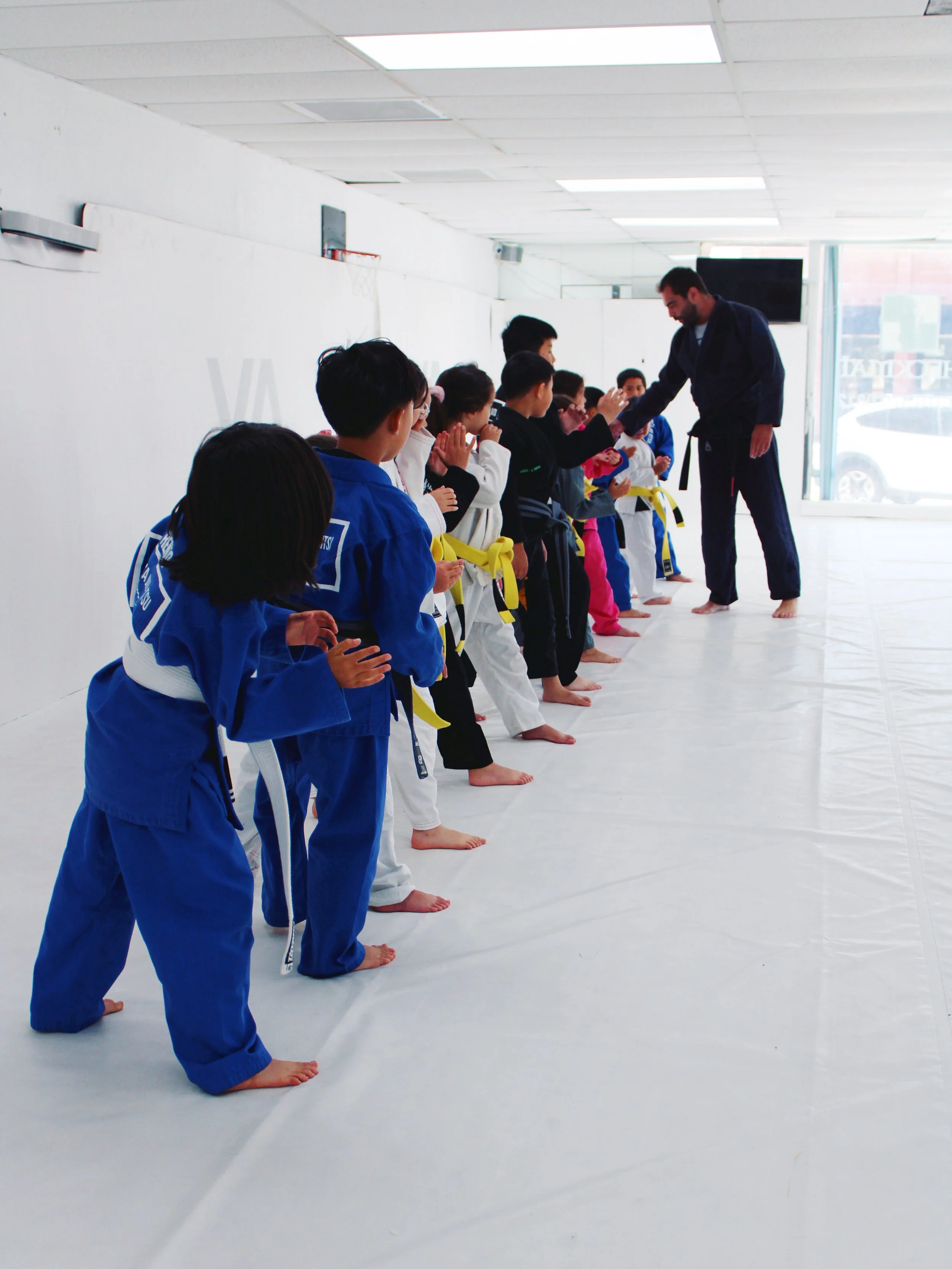 Hidden BJJ Secrets By Luiz Panza　柔術　BJJ Hidden BJJ Secrets by Luiz Panza – BJJ Fanatics