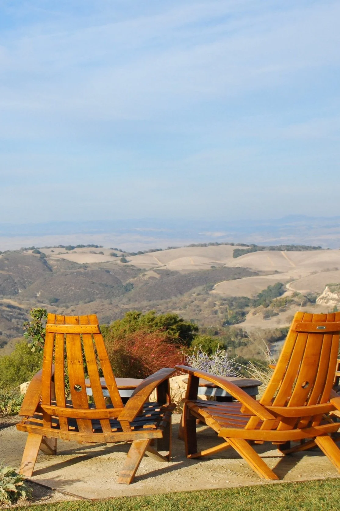 A Local’s Guide to the Most Scenic Paso Robles Wine Tours