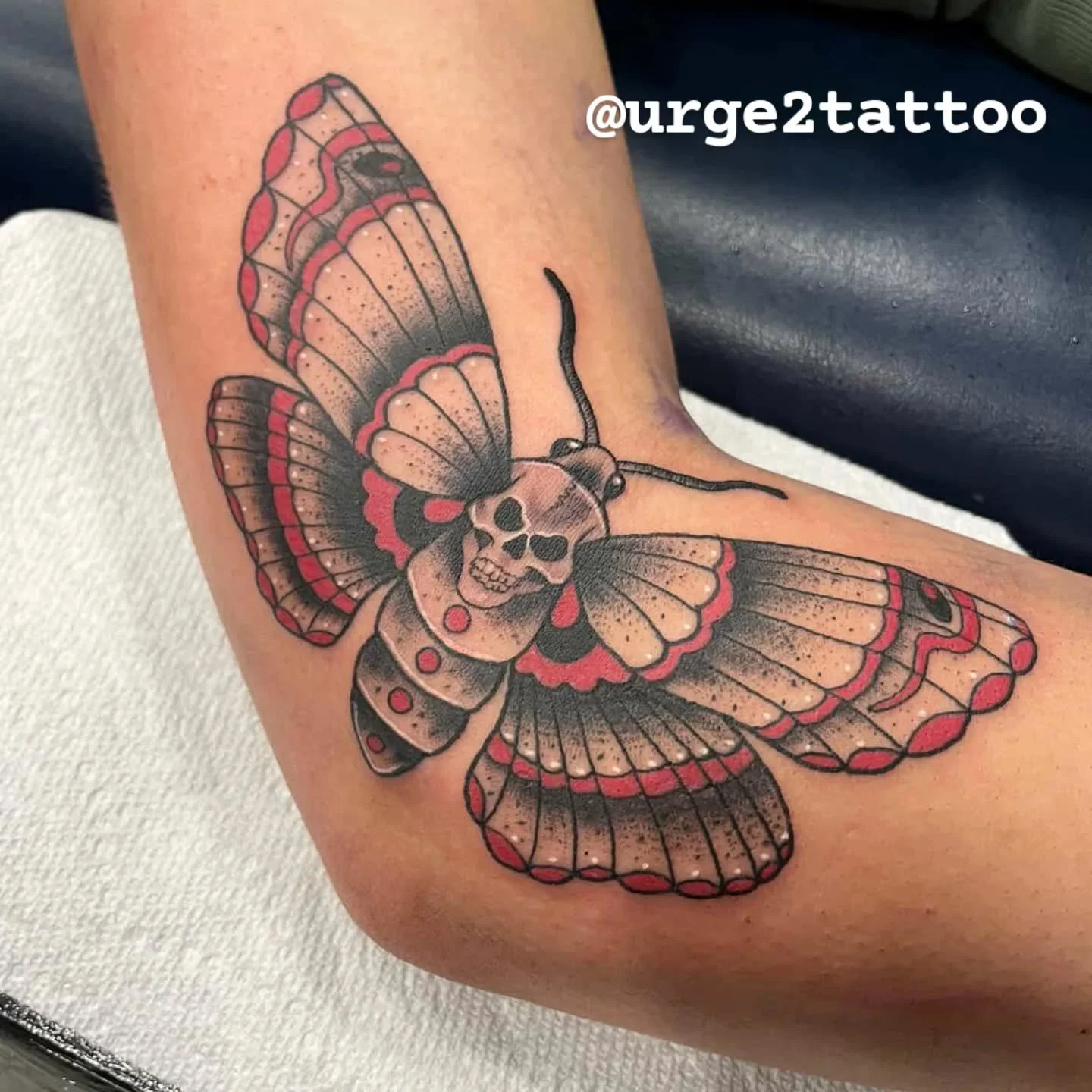 Deathshead moth by Sydney.  @sydney_mason_ 
#urge2 #traditionaltattoo #edmonton #yeg #yegtattoos
