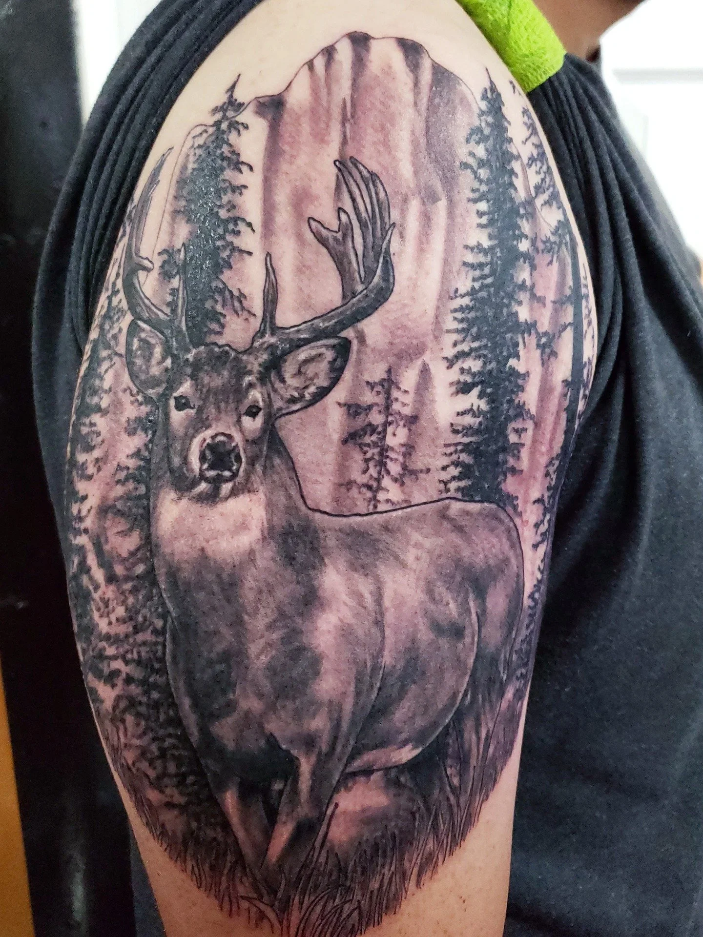 Big Buck '25. White Tail buck by Lobo.
@marklobkowicz Send him a DM to book your next session.

#urge2 #yeg #yegtattoo #edmonton