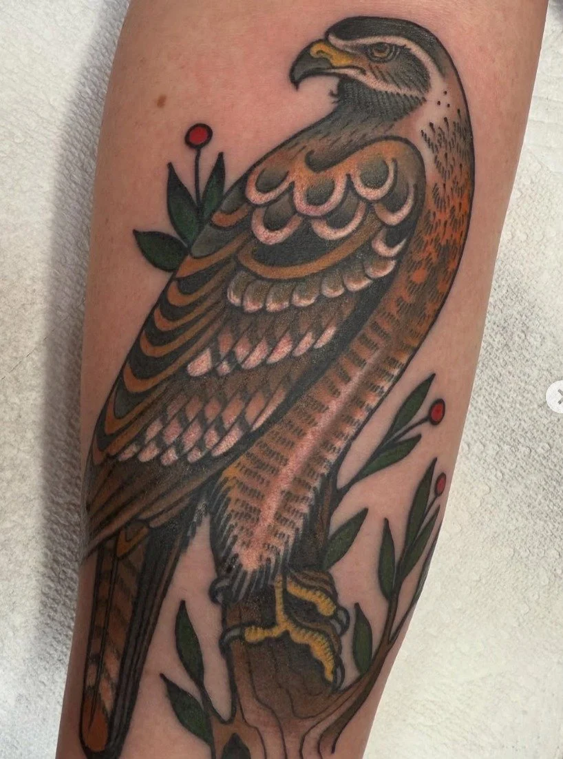 Hawk by Dylan. Give her a follow and grab sweet tat! @lightbourntattoos 

She can do any custom and has hundreds of pre-drawn designs ready to go!

#urge2 #yeg #yegtattoo #edmonton #trad #traditionaltattoo #tattoo