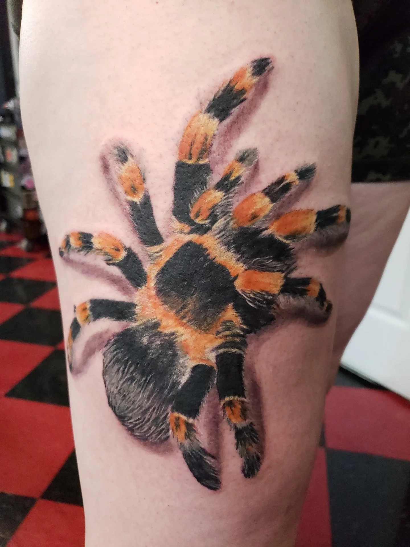 Tarantula by Lobo
@marklobkowicz

#urge2 #lobostrikesagain #edmonton #yegtattoos