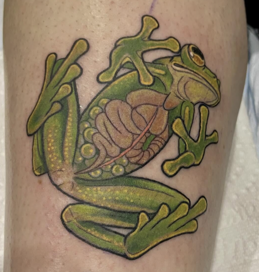 Tattoo of a frog with an exposed stomach showing its intestines, with some parts of the frog's body in green and yellow colors.