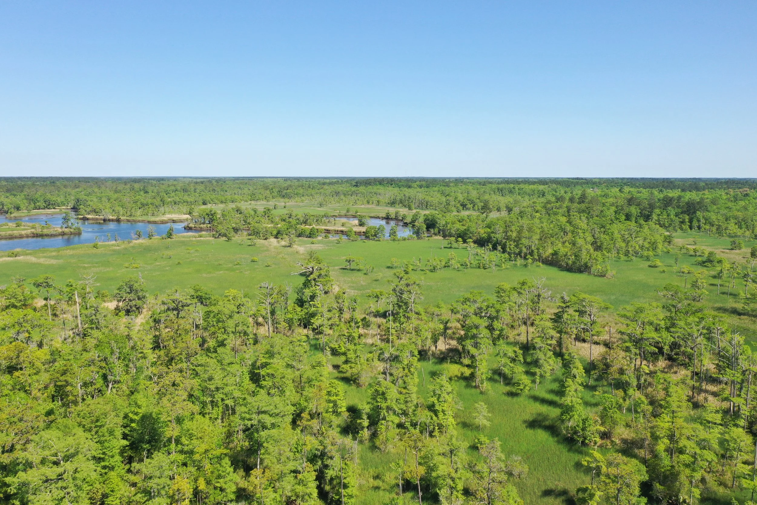 Conservation easement in Alabama. Conservation easement in Georiga.