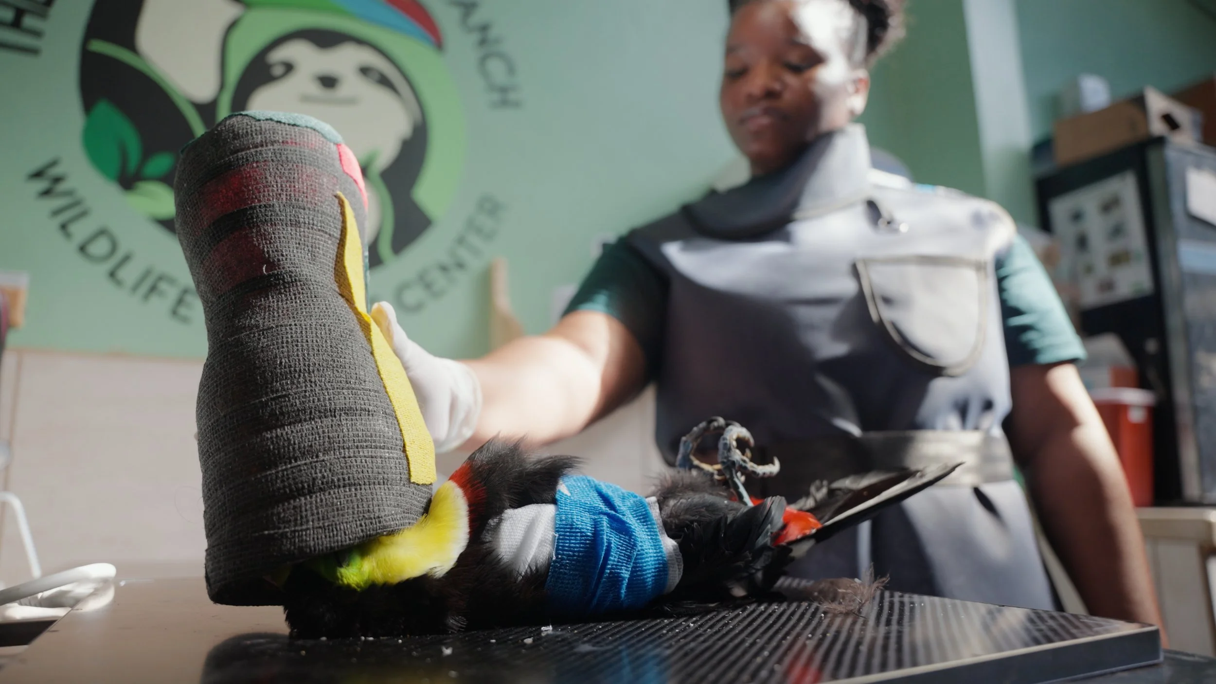 Still 2025-12-18 213052_2.18.1.jpg