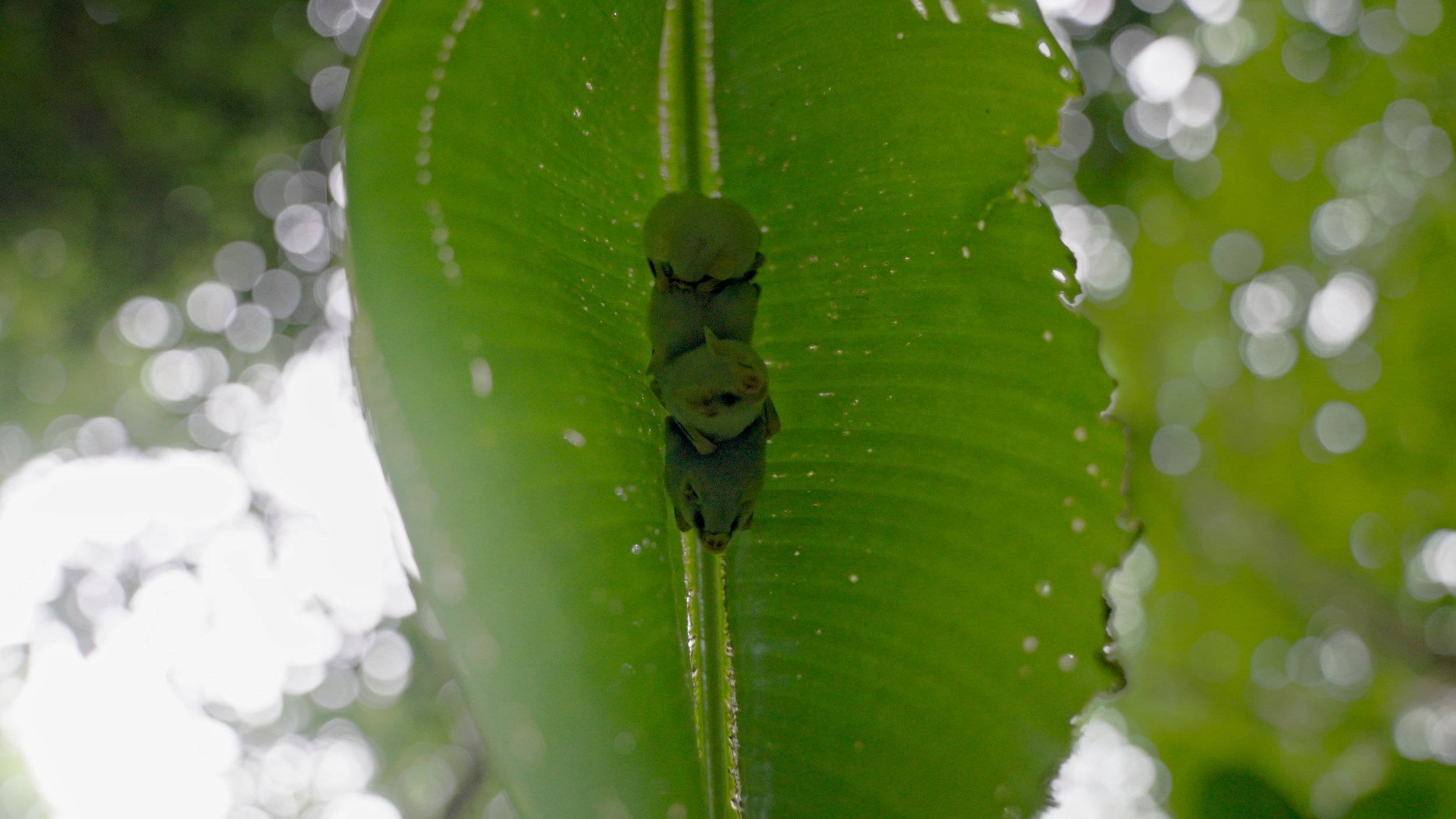 Still 2026-01-07 191441_2.62.2.jpg