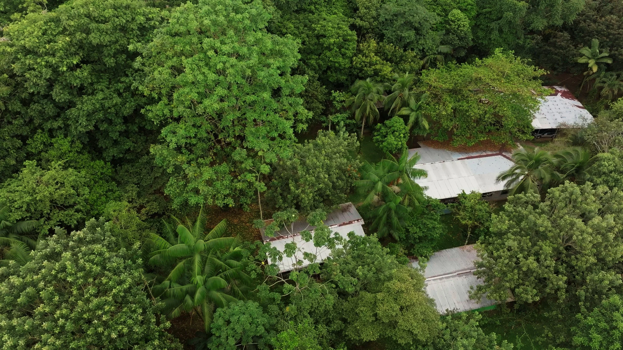 Still 2025-12-18 213052_2.15.1.jpg