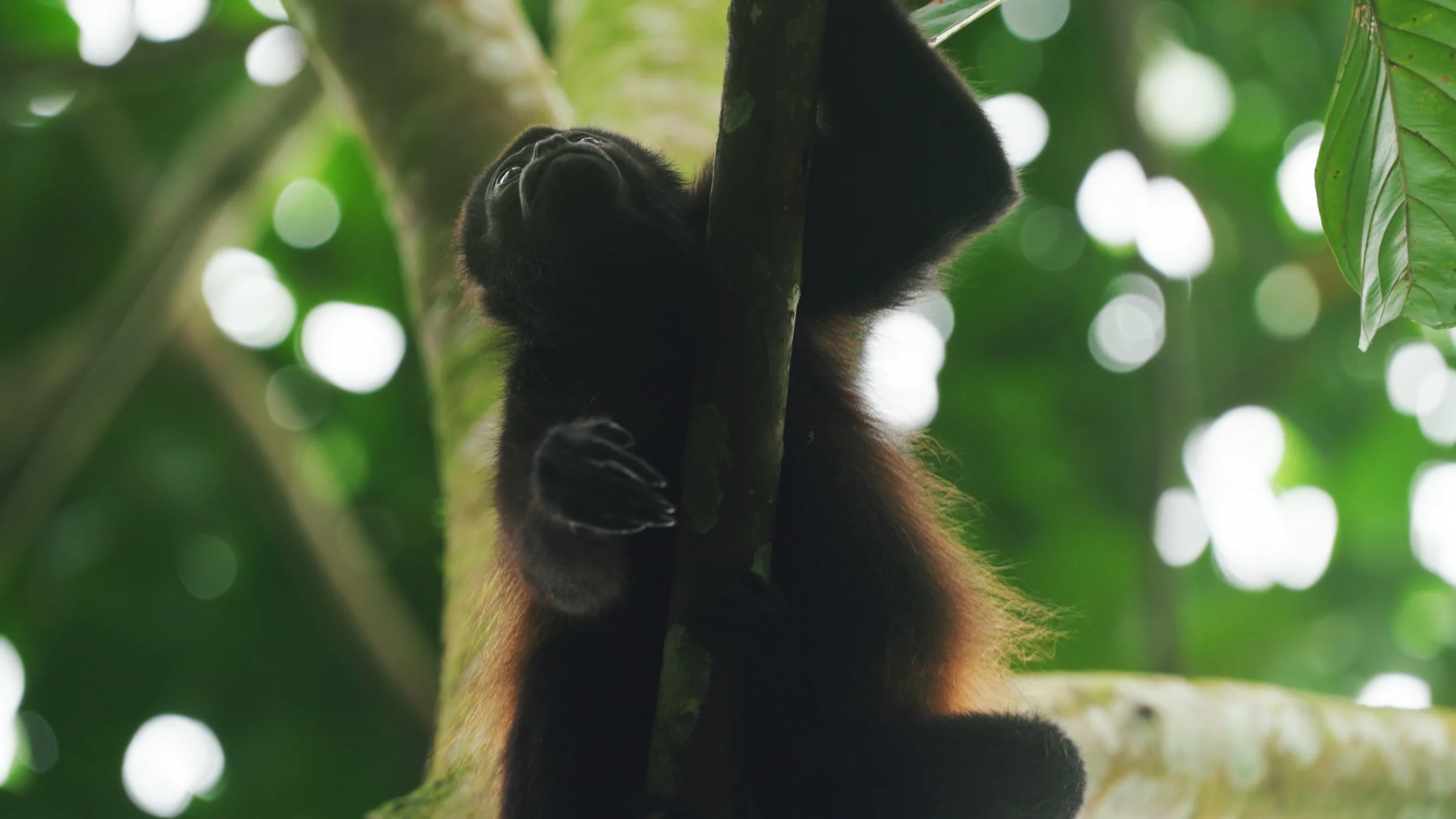 Still 2025-12-18 213052_2.58.3.jpg