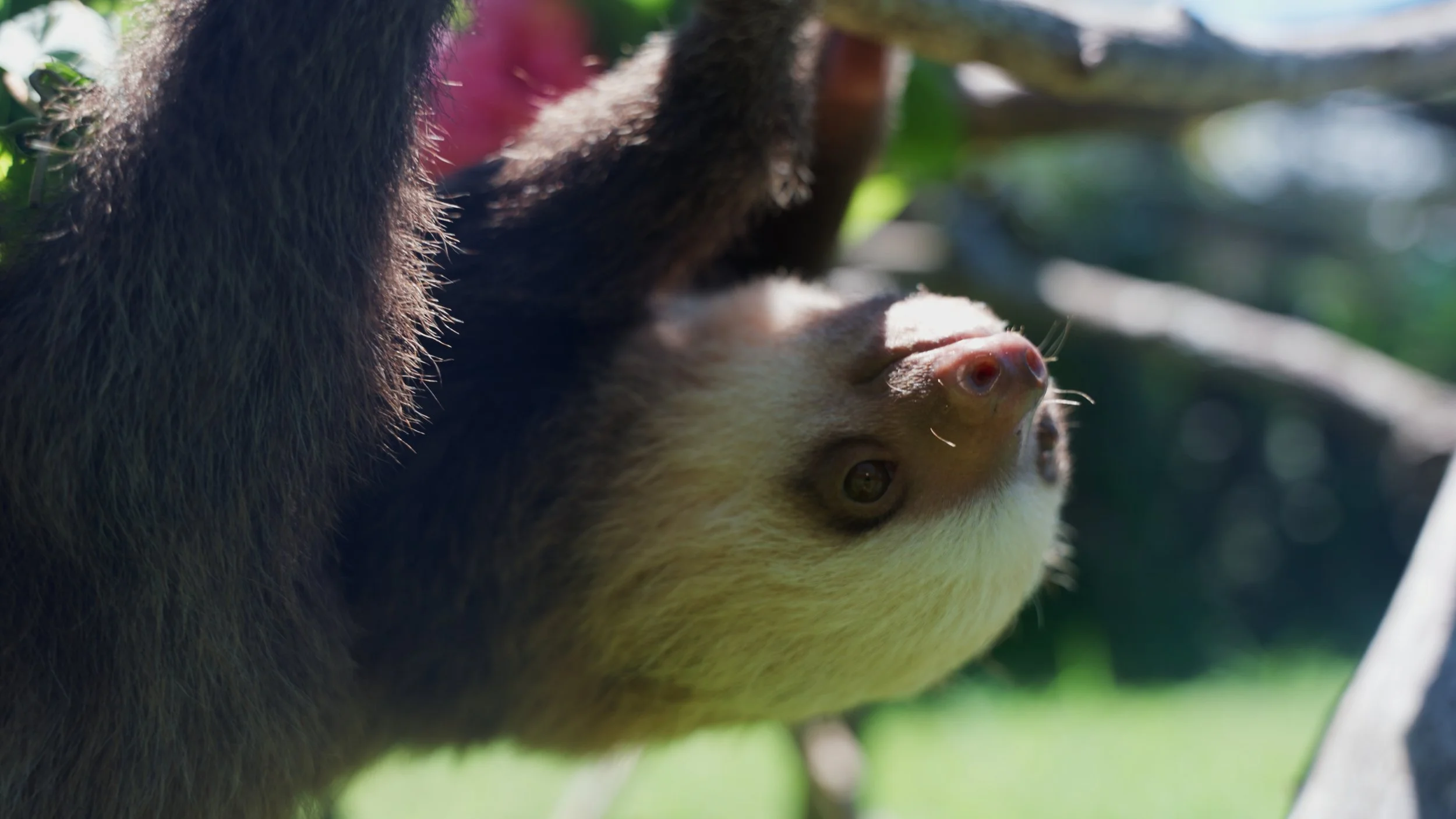 Still 2025-12-18 213052_1.5.13.jpg