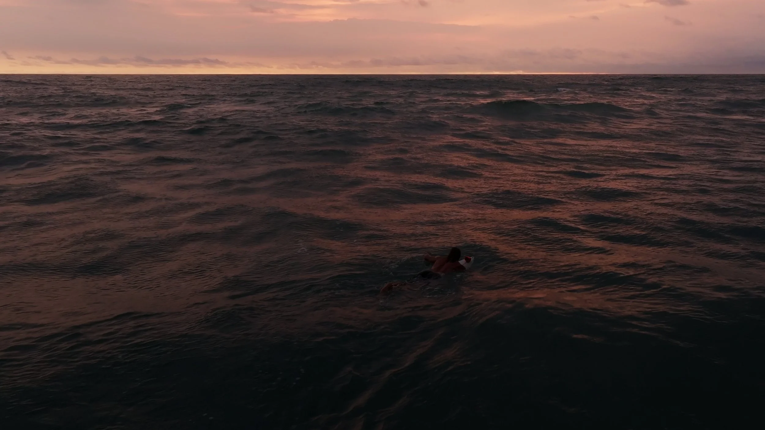 Still 2026-01-30 125538_2.5.1.jpg