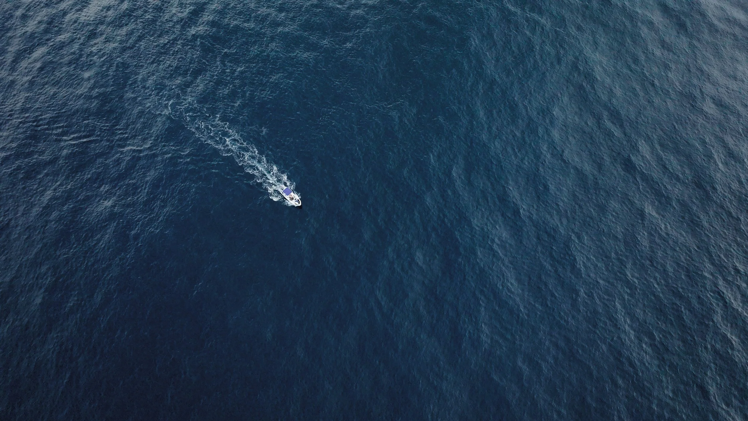 Still 2026-02-04 235556_2.1.1.jpg