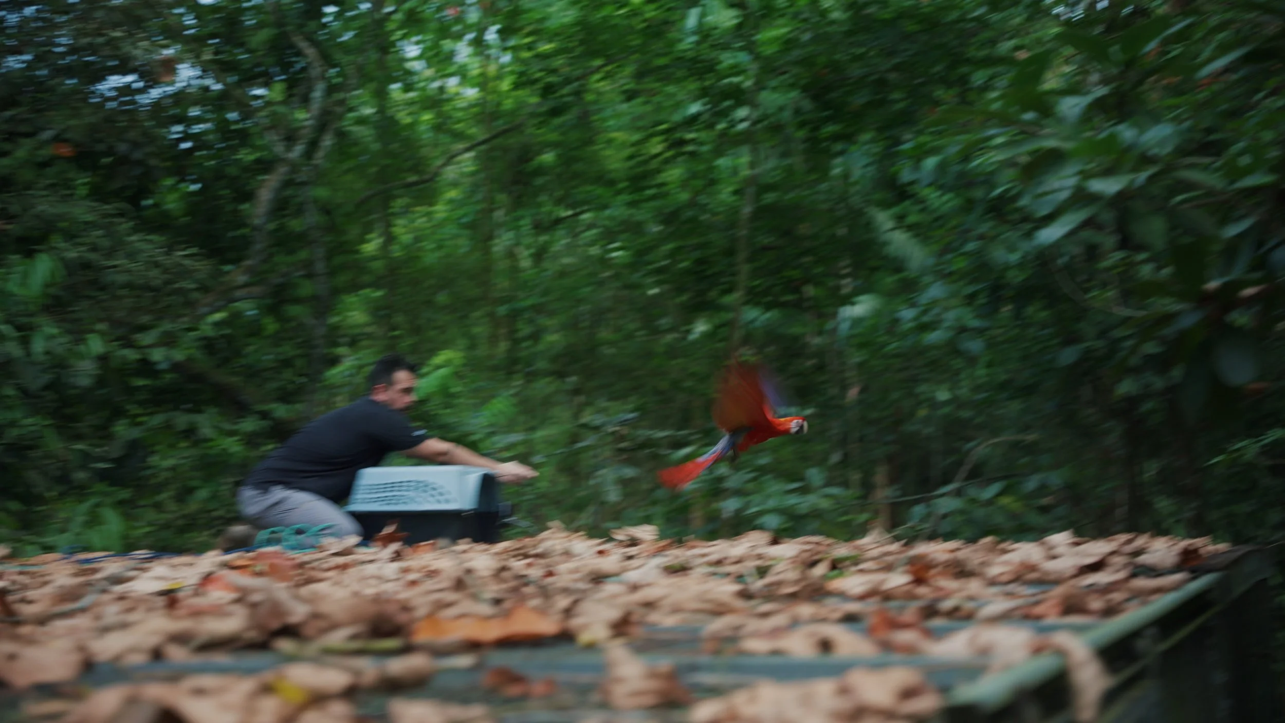 Still 2025-12-18 213052_2.52.3.jpg