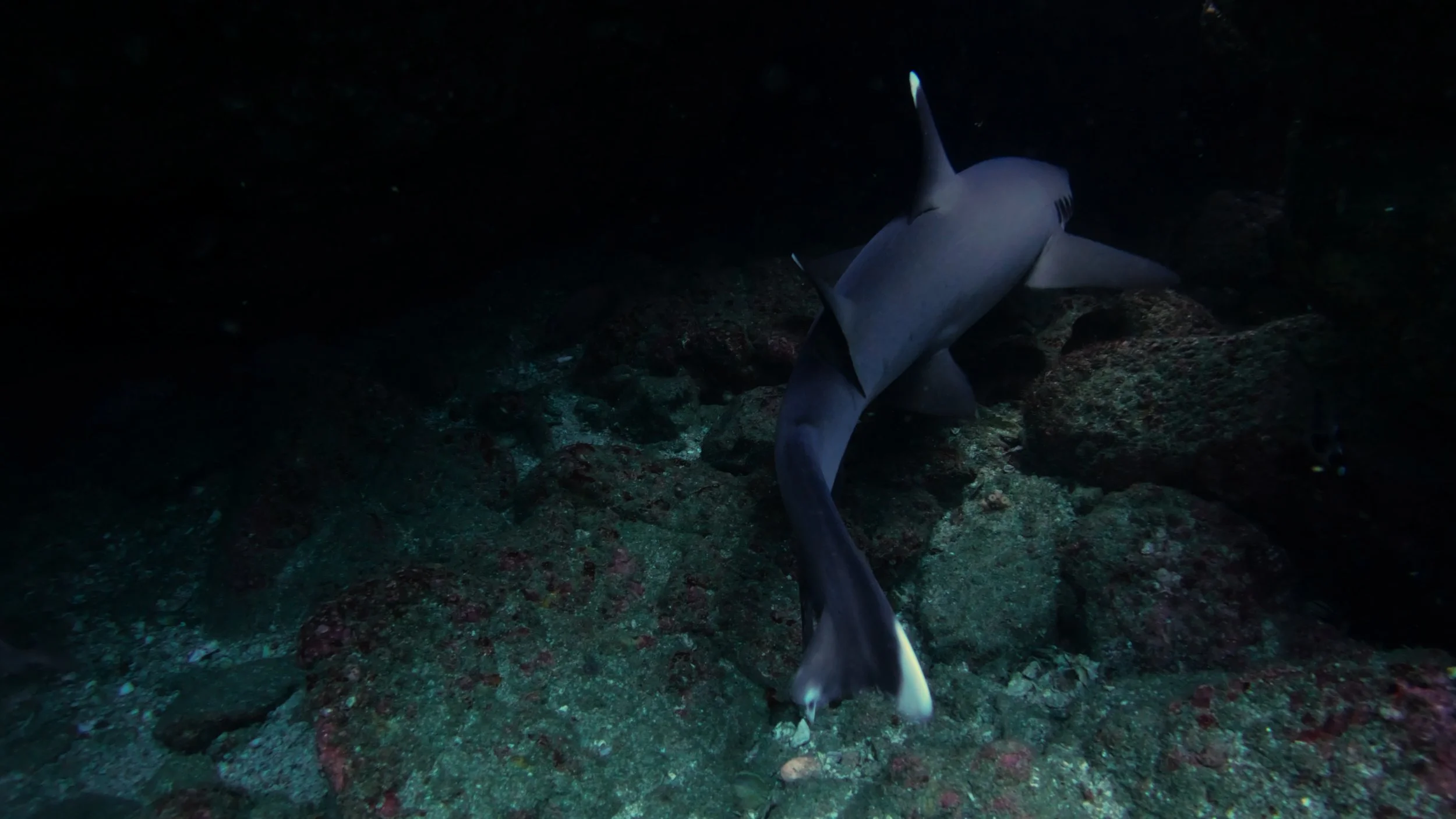 Still 2025-12-18 213052_2.6.4.jpg