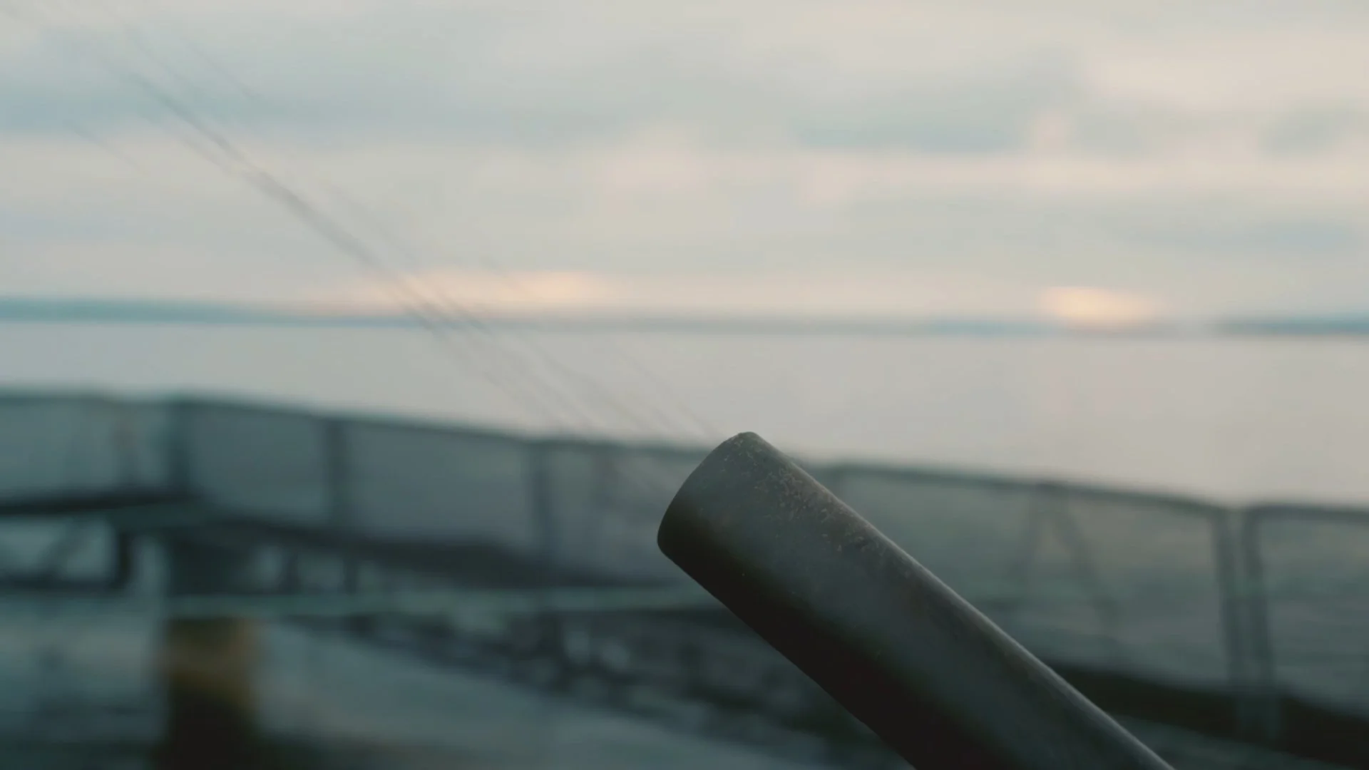 Still 2024-12-08 170924_1.1.8.jpg