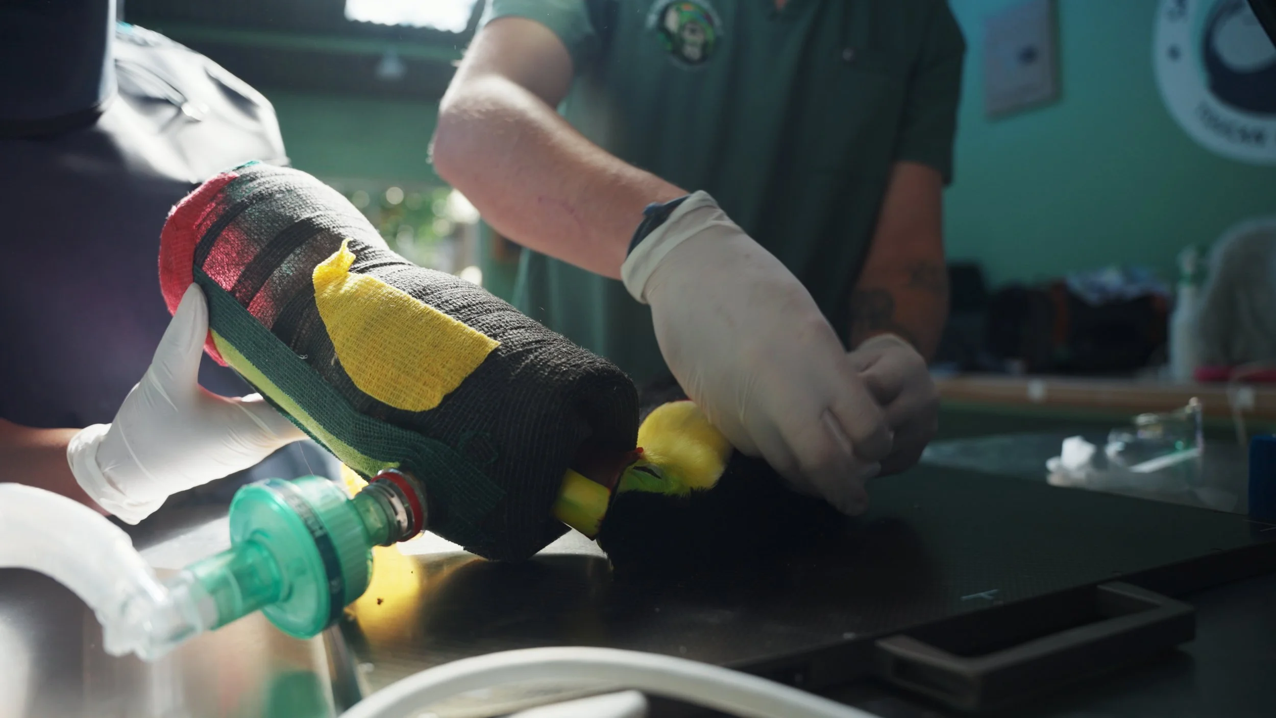 Still 2025-12-18 213052_2.24.1.jpg