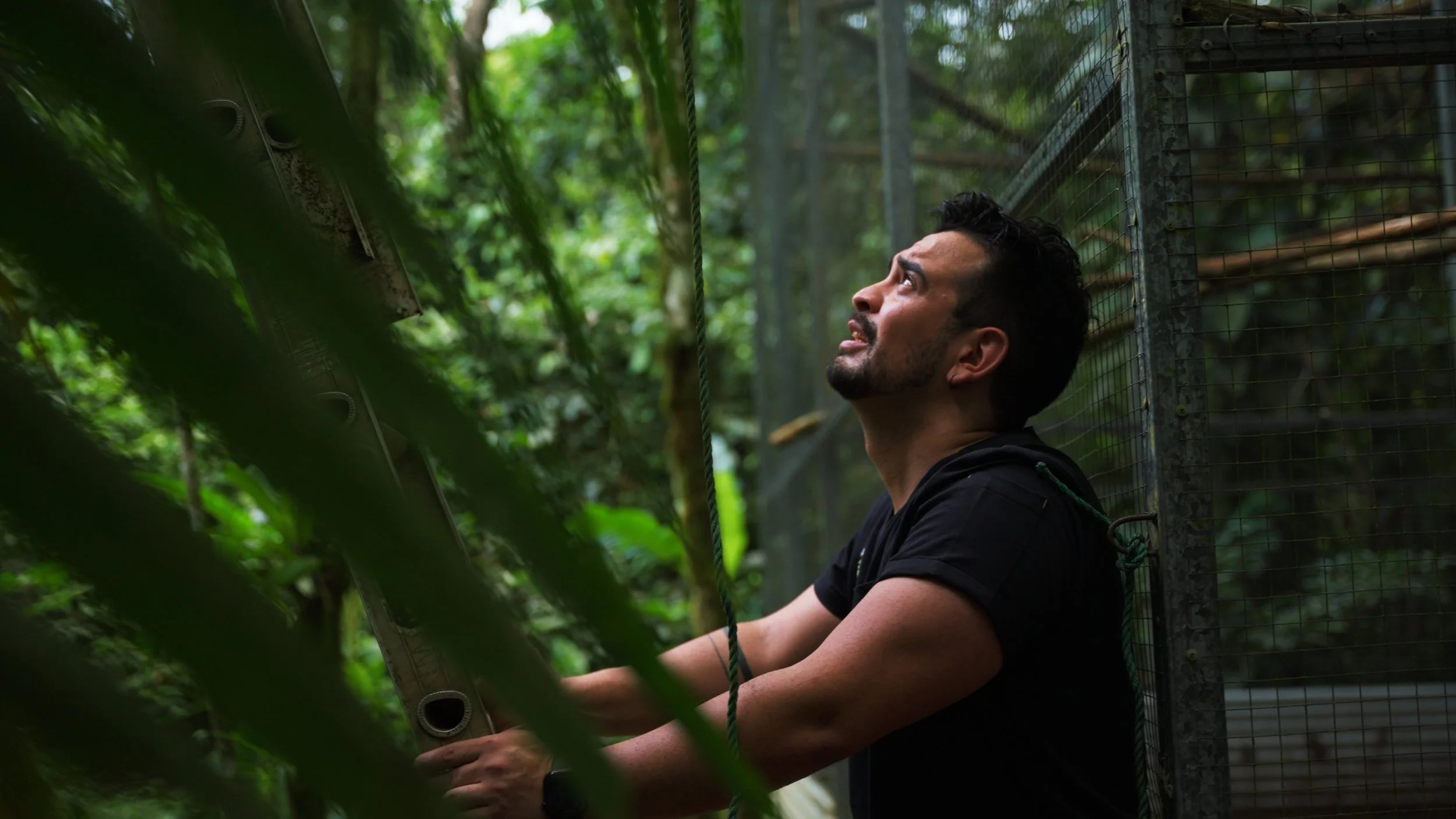 Still 2025-12-18 213052_1.5.15.jpg