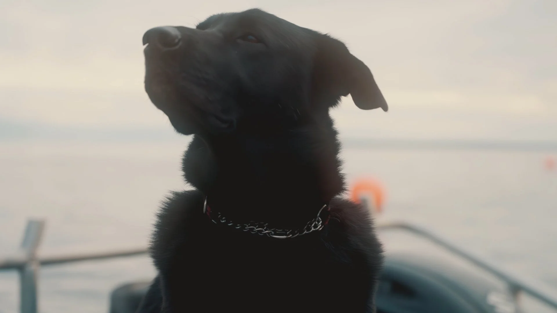 Still 2024-12-08 170924_1.1.18.jpg