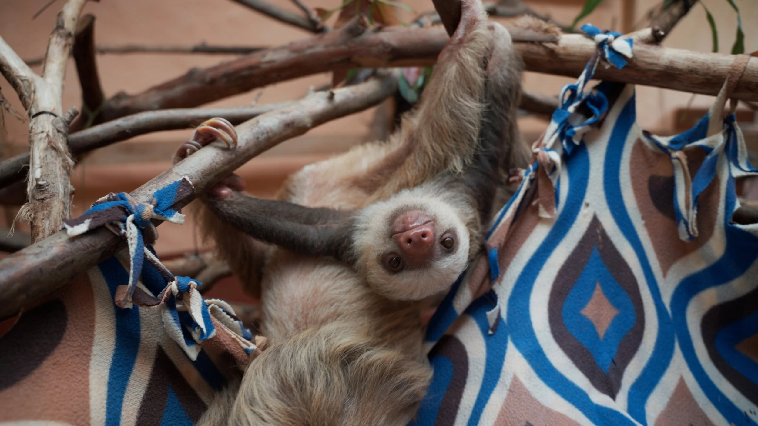 Still 2025-12-18 213052_1.5.9.jpg