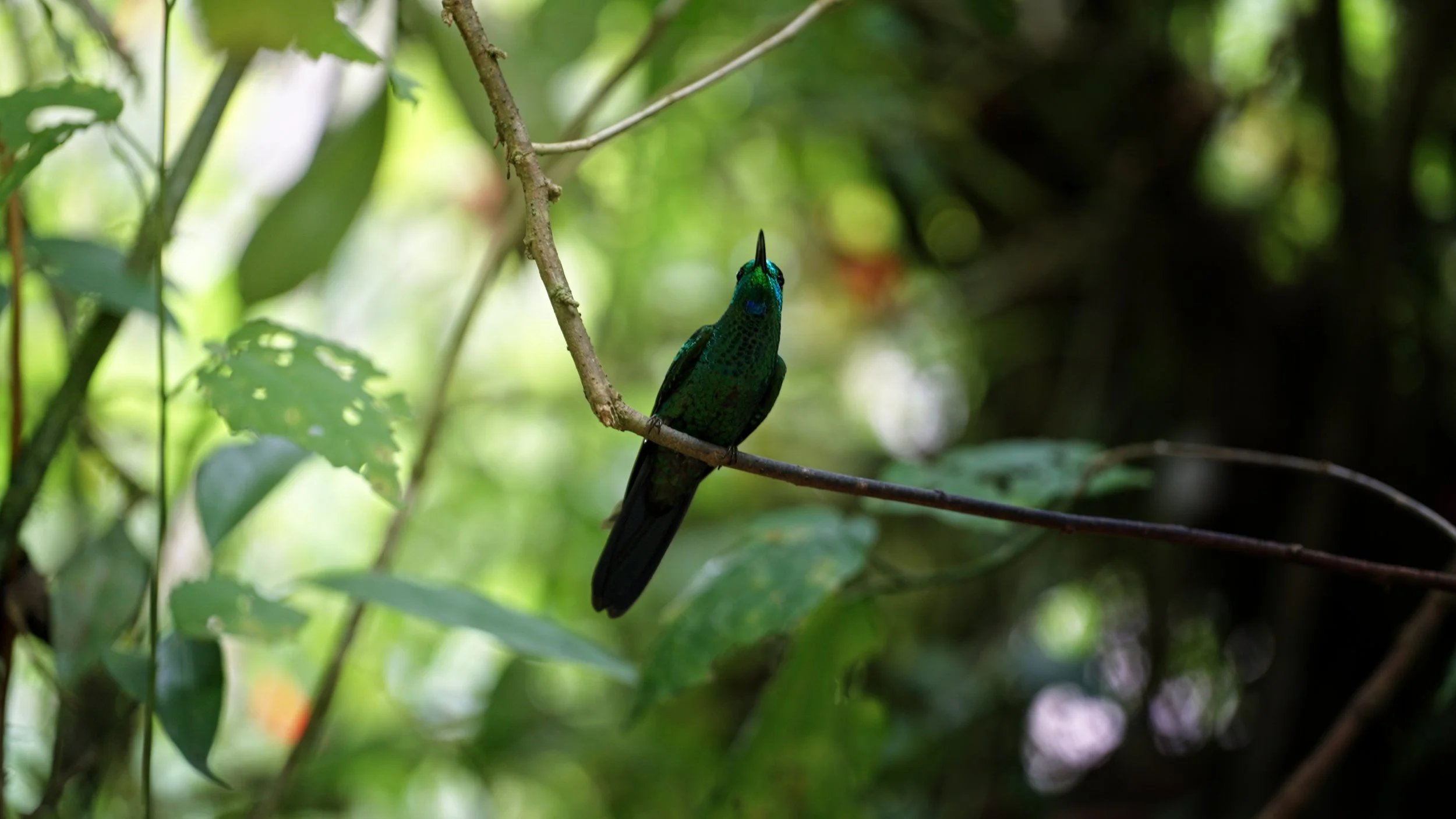 Still 2026-01-07 191441_2.63.1.jpg