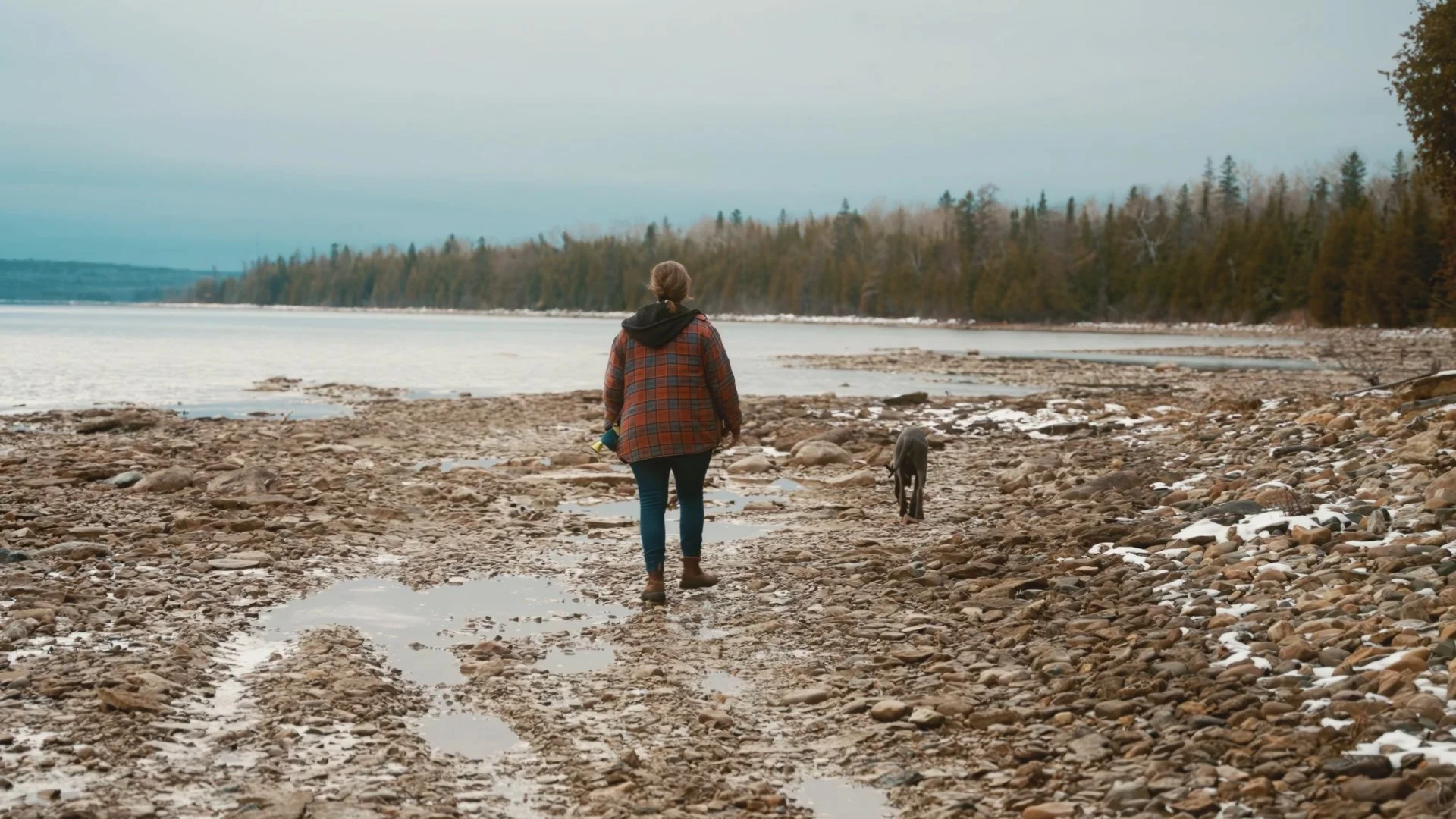 Still 2024-12-08 170924_1.1.20.jpg