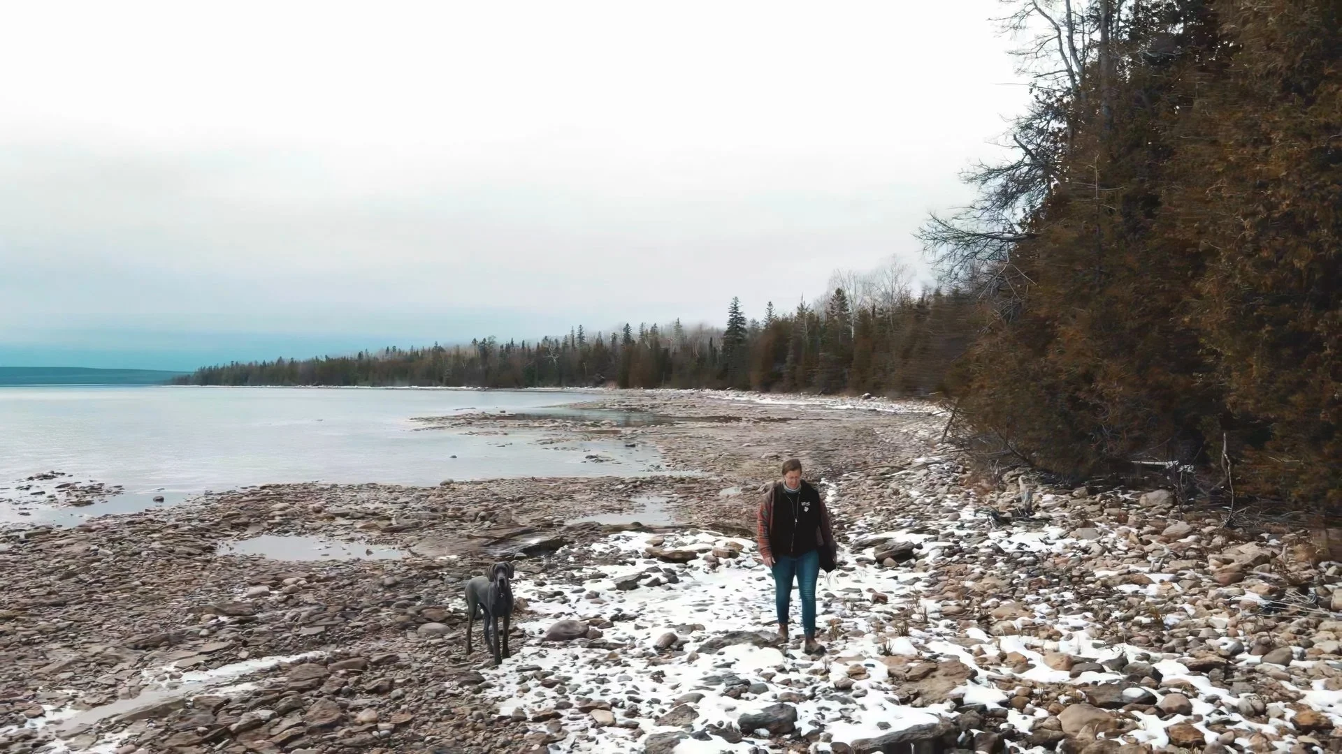 Still 2024-12-08 170924_1.1.6.jpg