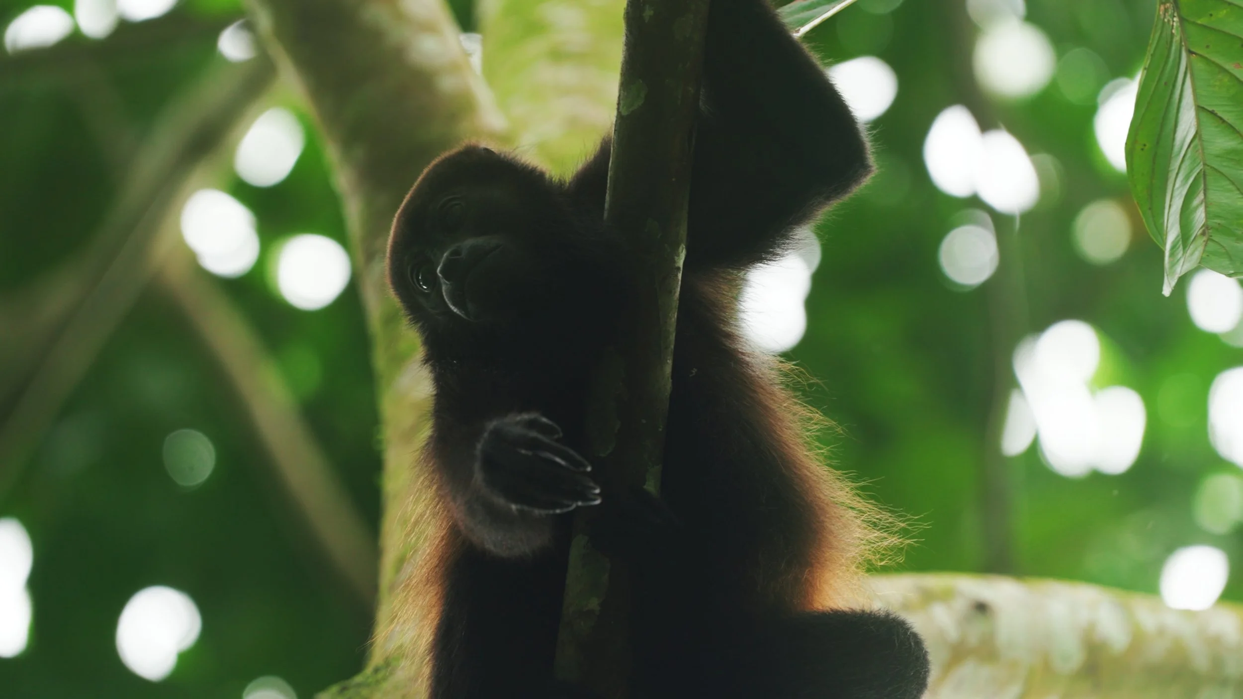 Still 2025-12-18 213052_2.58.1.jpg